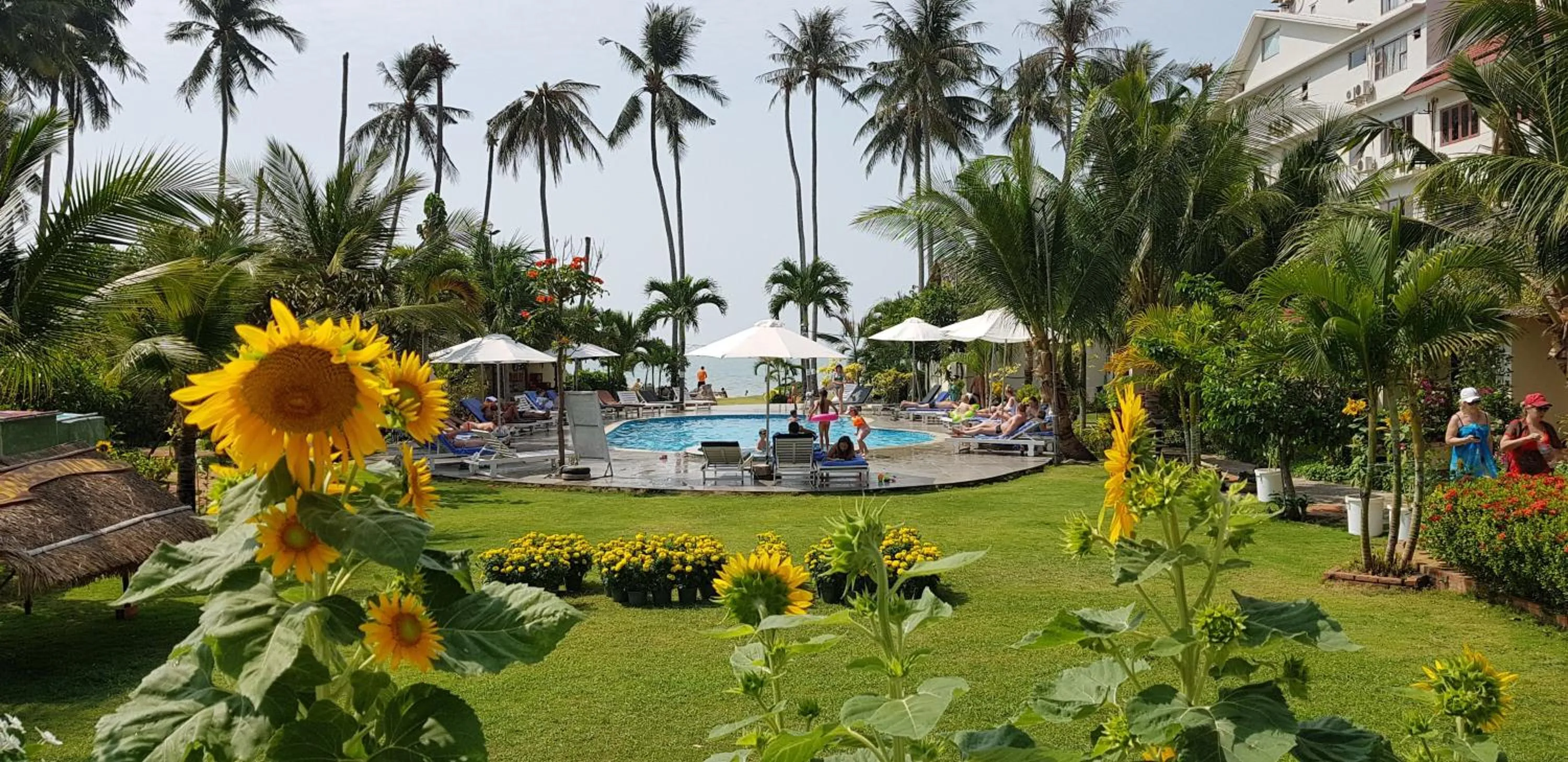 Garden in Sun & Sands Beach Hotel
