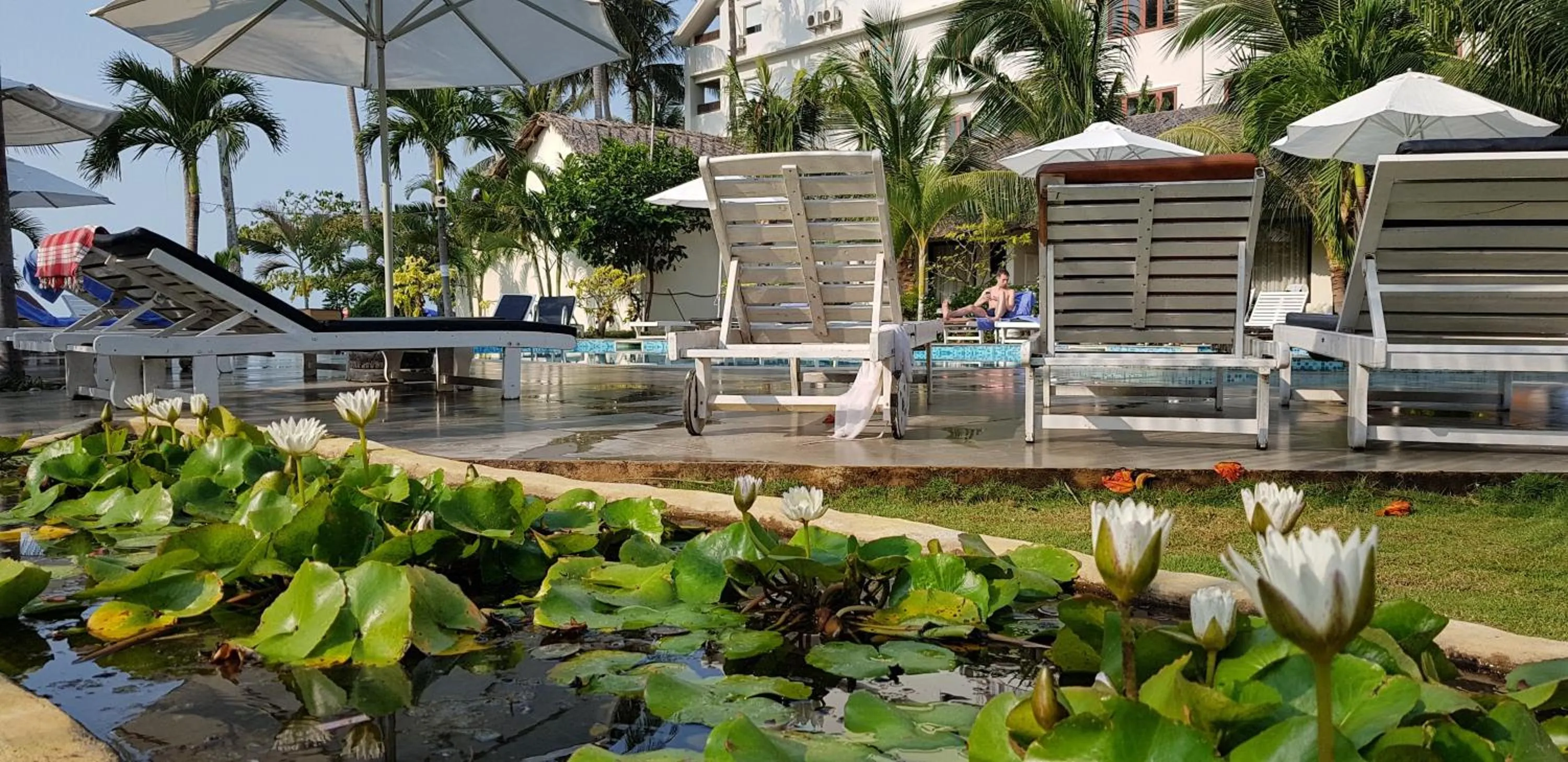 Garden in Sun & Sands Beach Hotel