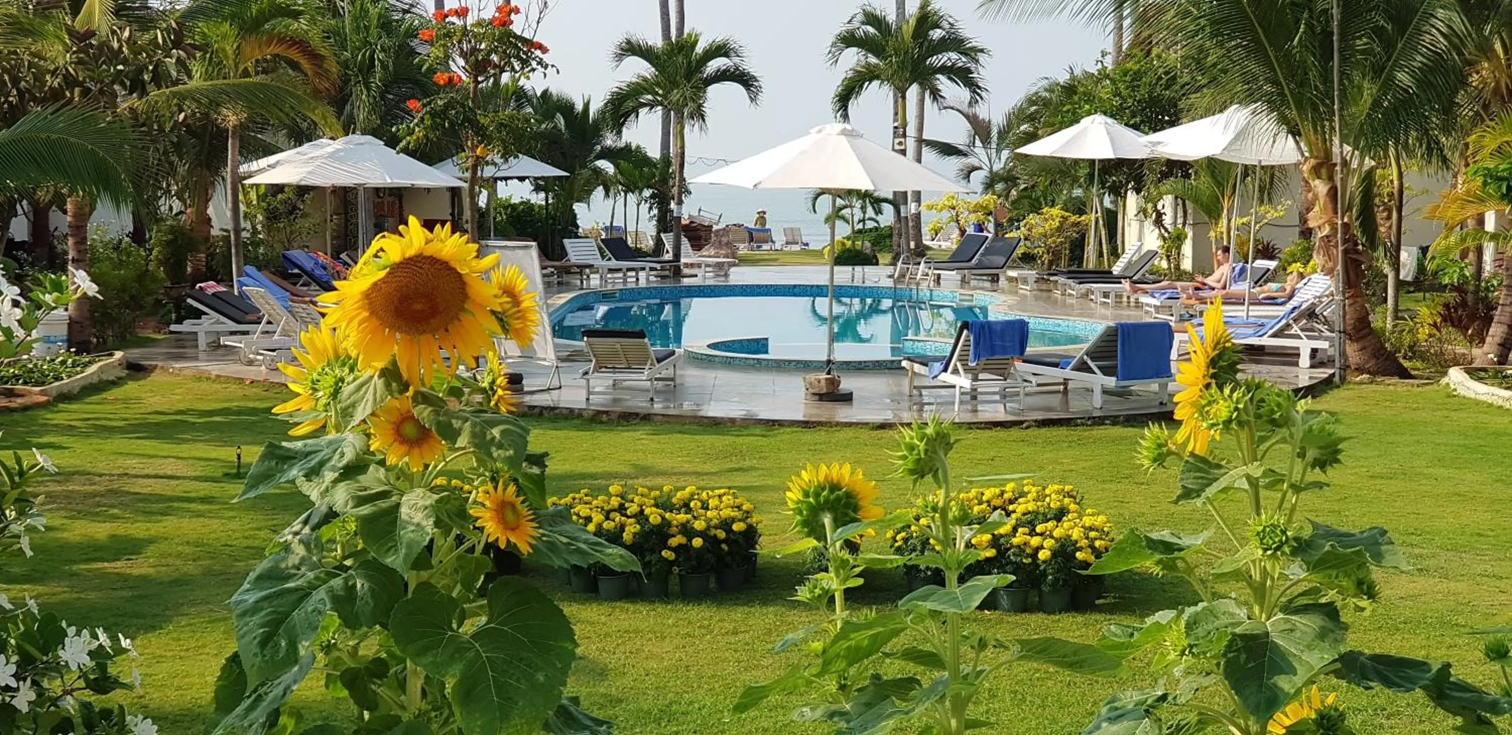 Garden in Sun & Sands Beach Hotel