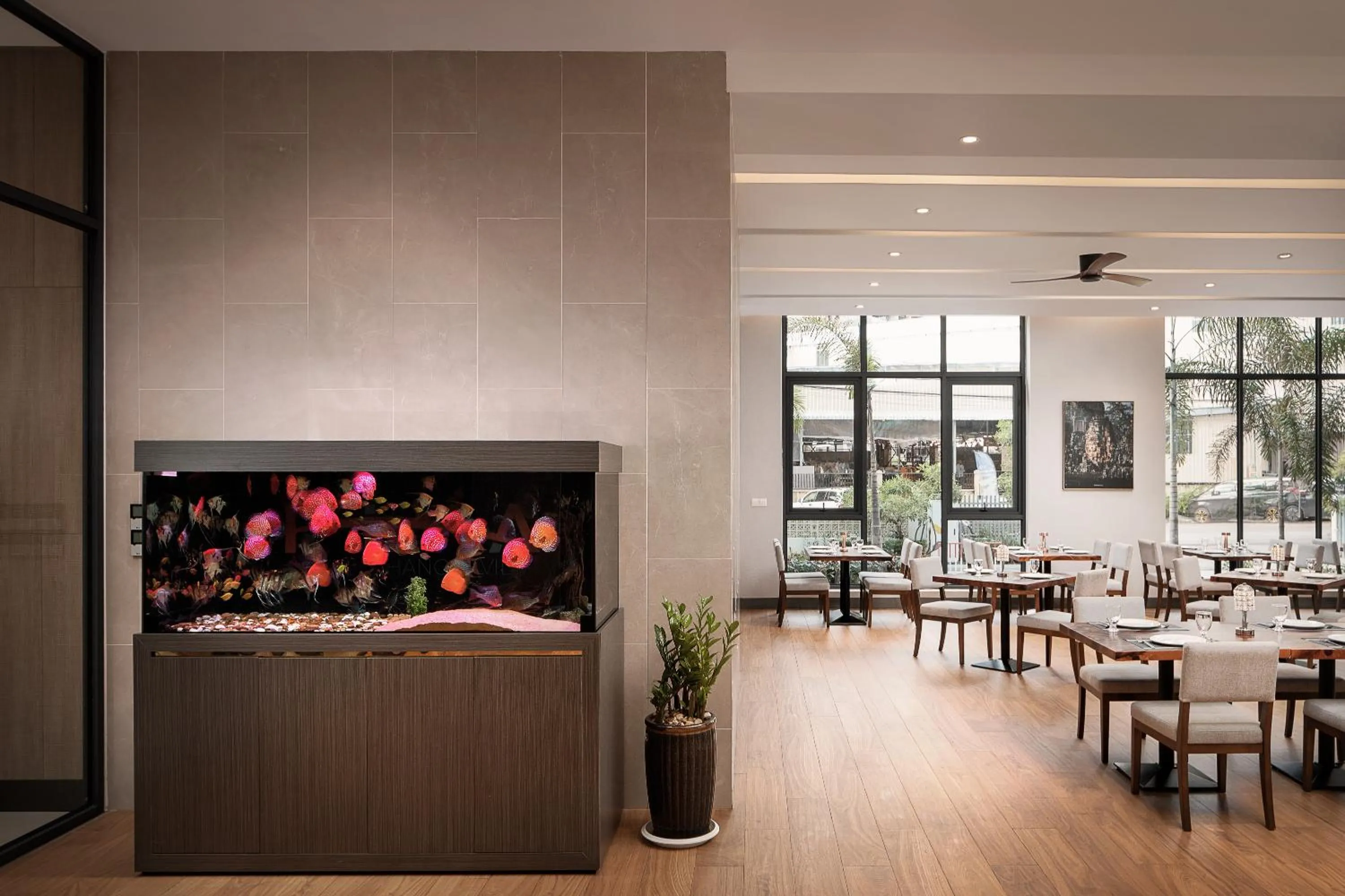 Restaurant/places to eat in RIVA Hotel SHV