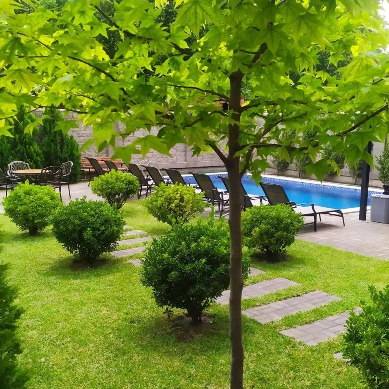 Garden in Vinum Hotel