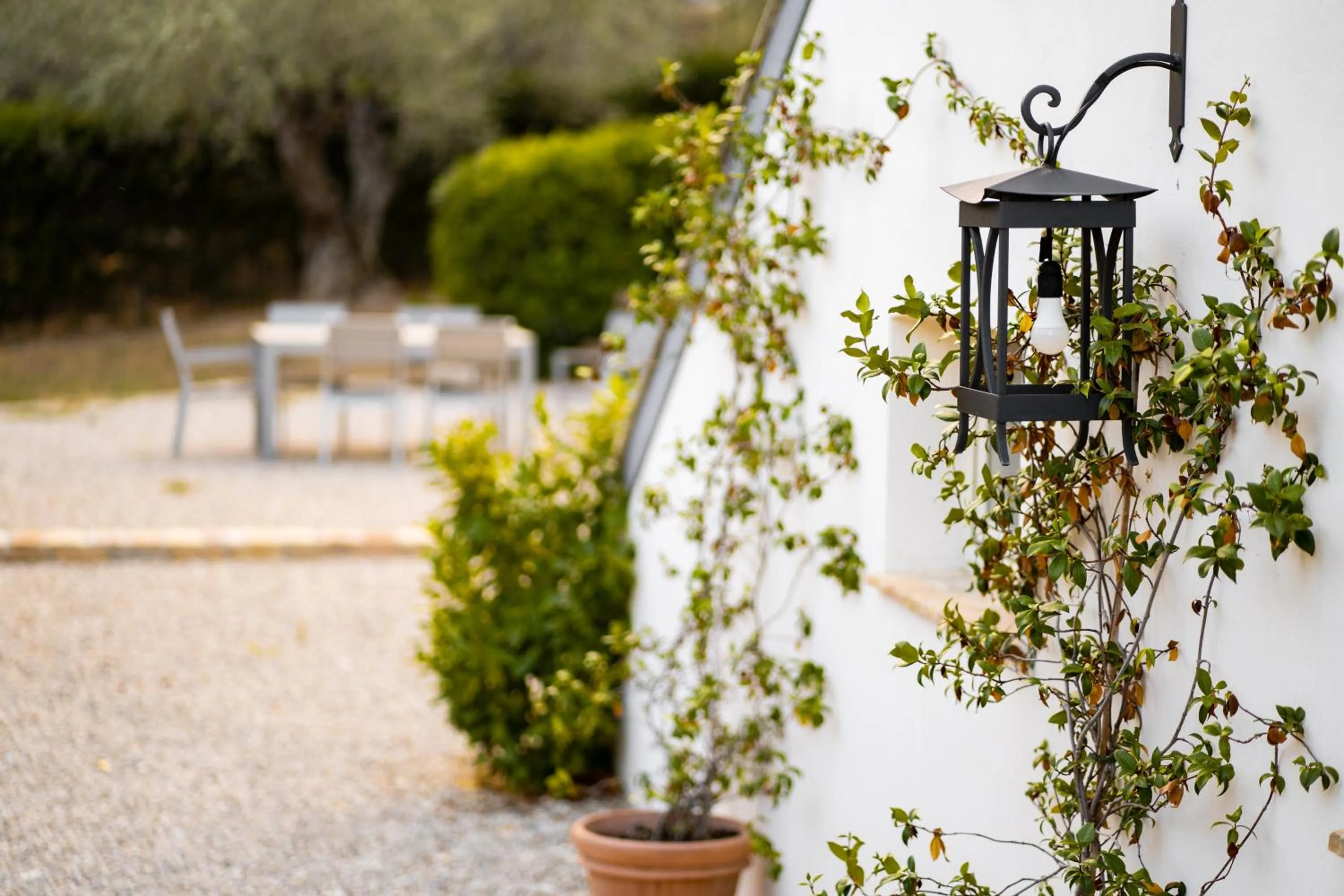 Casale delle Lavande