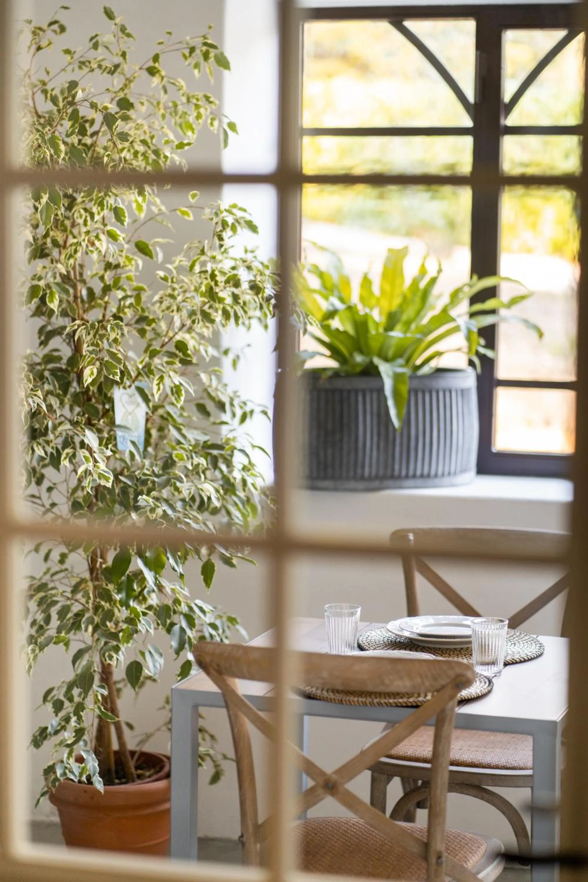 Casale delle Lavande