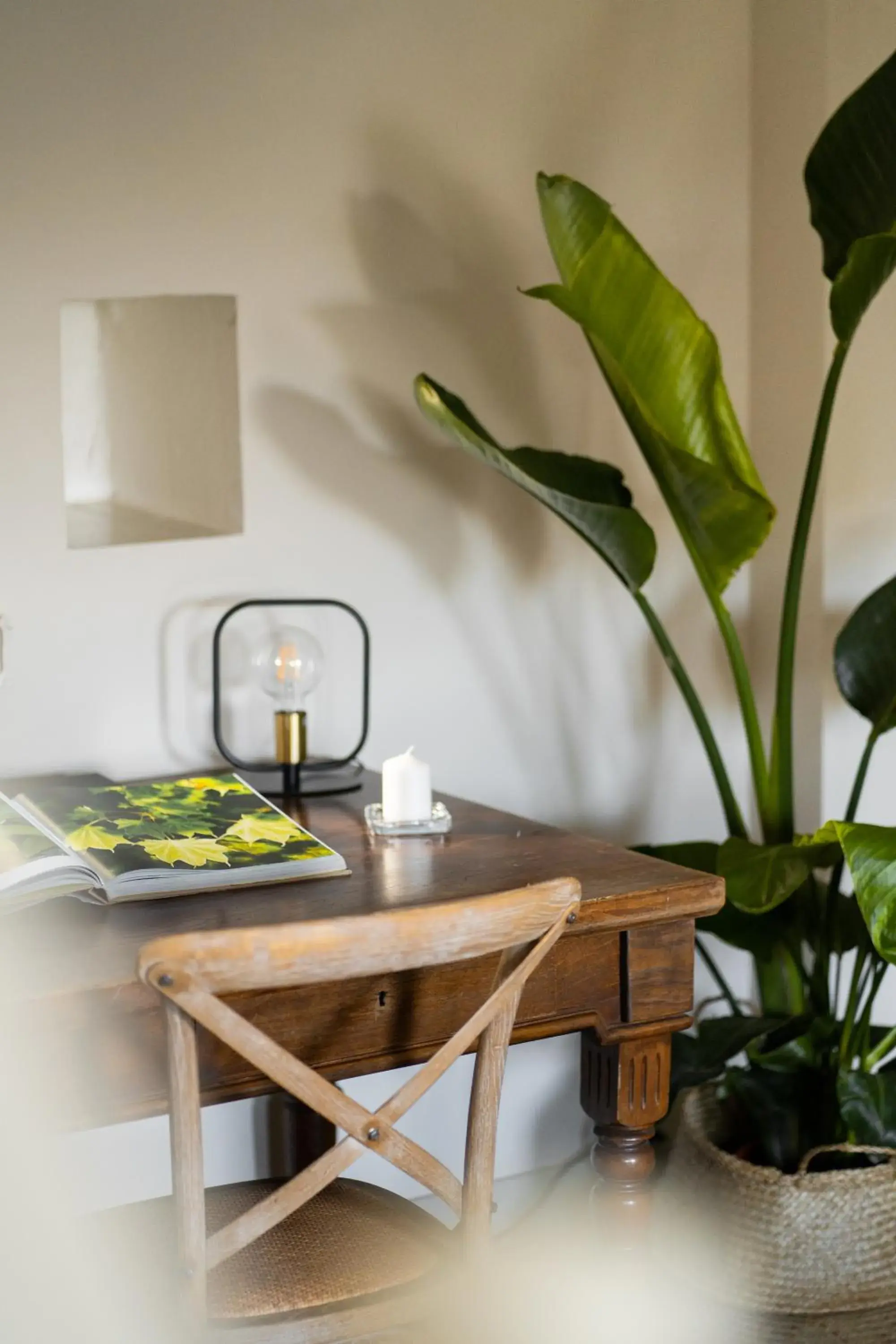 Double Room - single occupancy in Casale delle Lavande Double Room - single occupancy in Casale delle Lavande