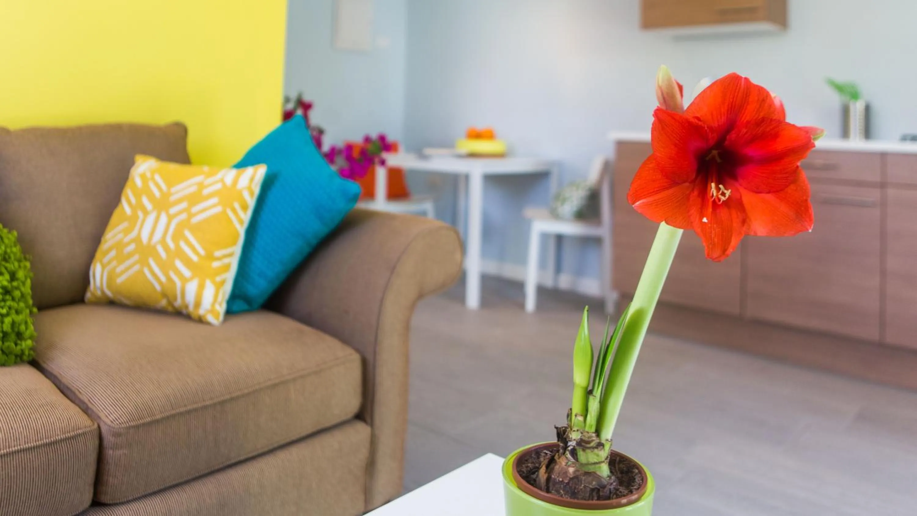 Seating area in Bubali Bliss Studios & Villas