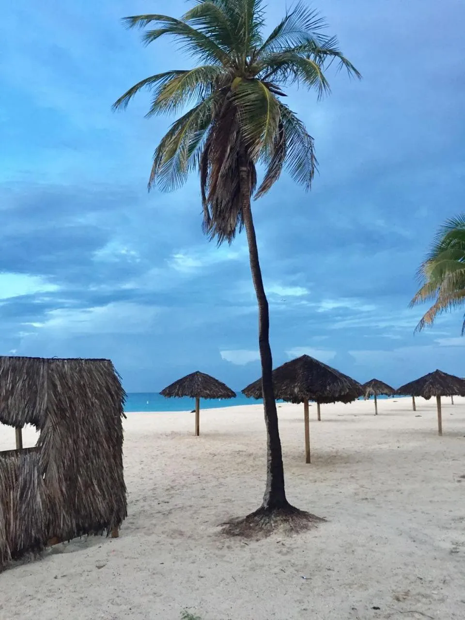 Beach in Bubali Bliss Studios & Villas