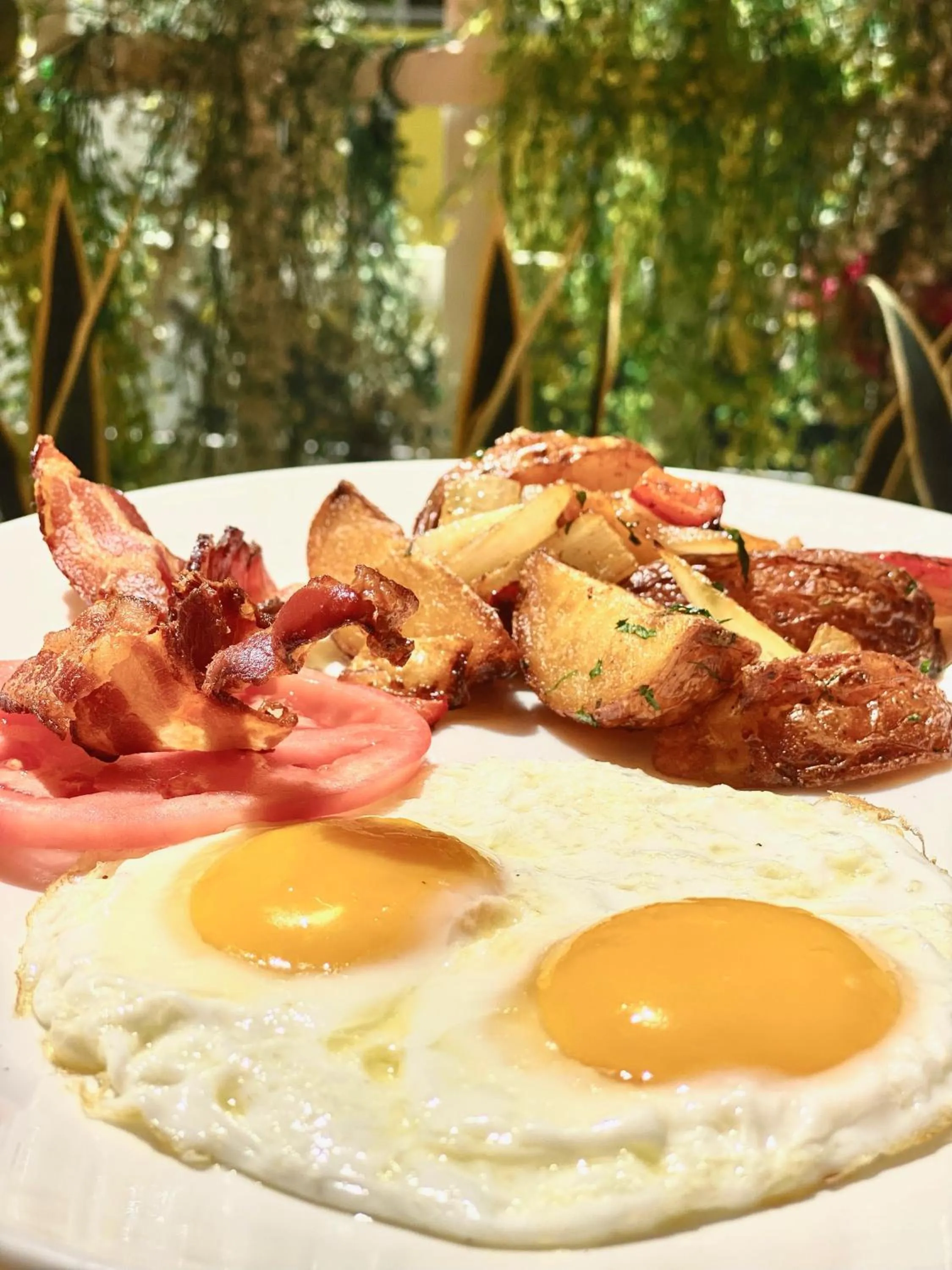 Breakfast in Leslie Hotel Ocean Drive