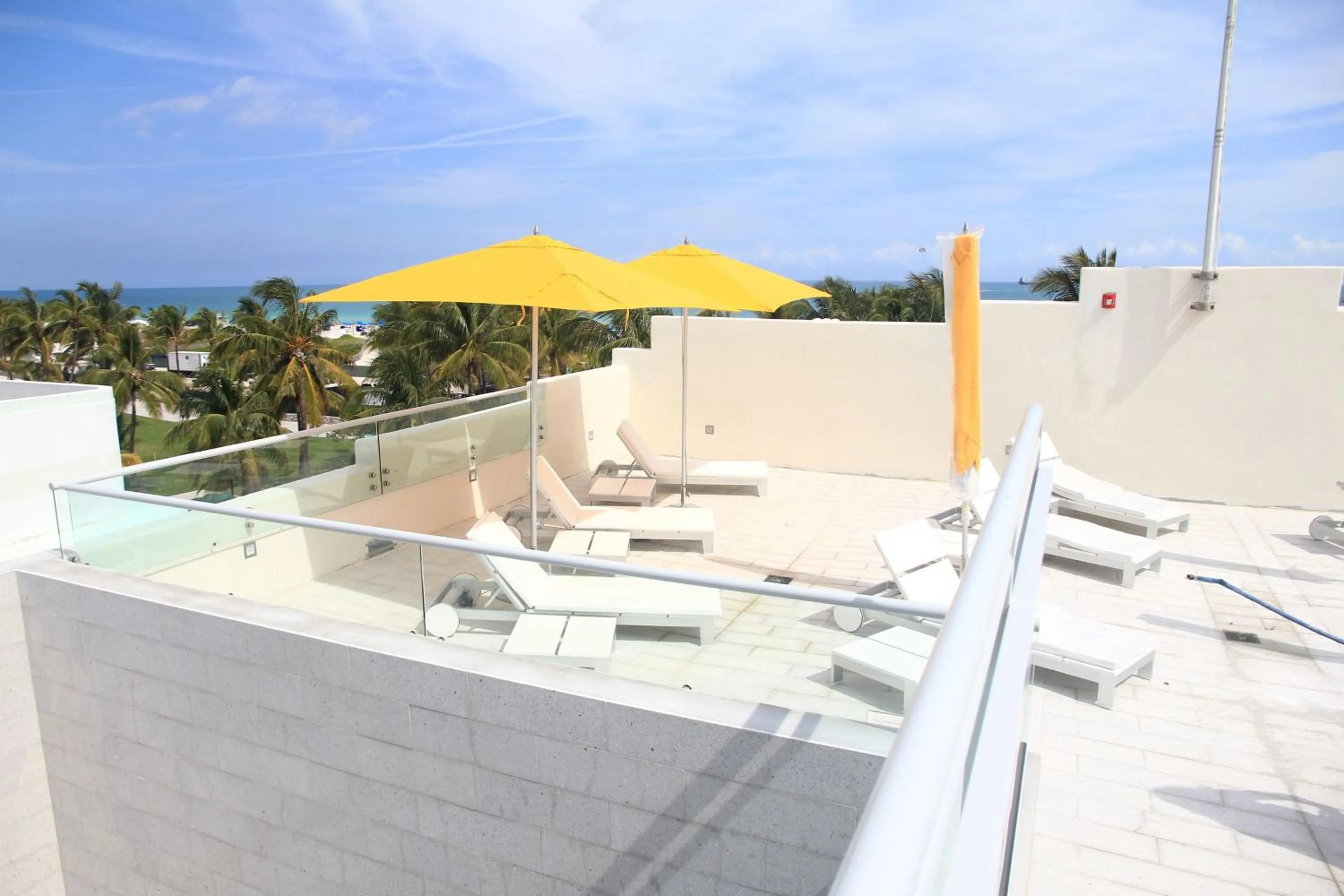 Balcony/Terrace in Leslie Hotel Ocean Drive