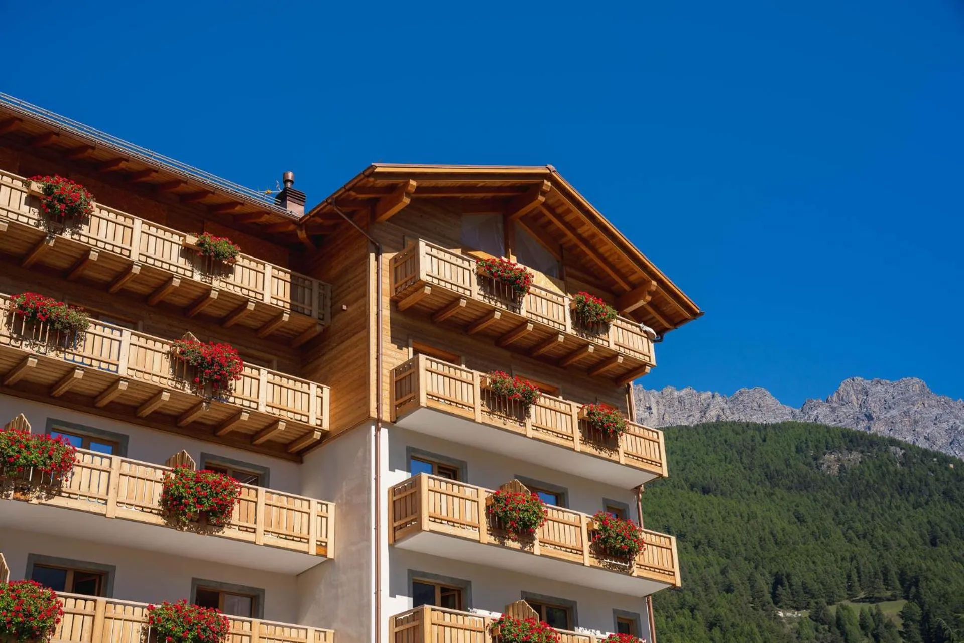 Property building in Hotel Baita Dei Pini