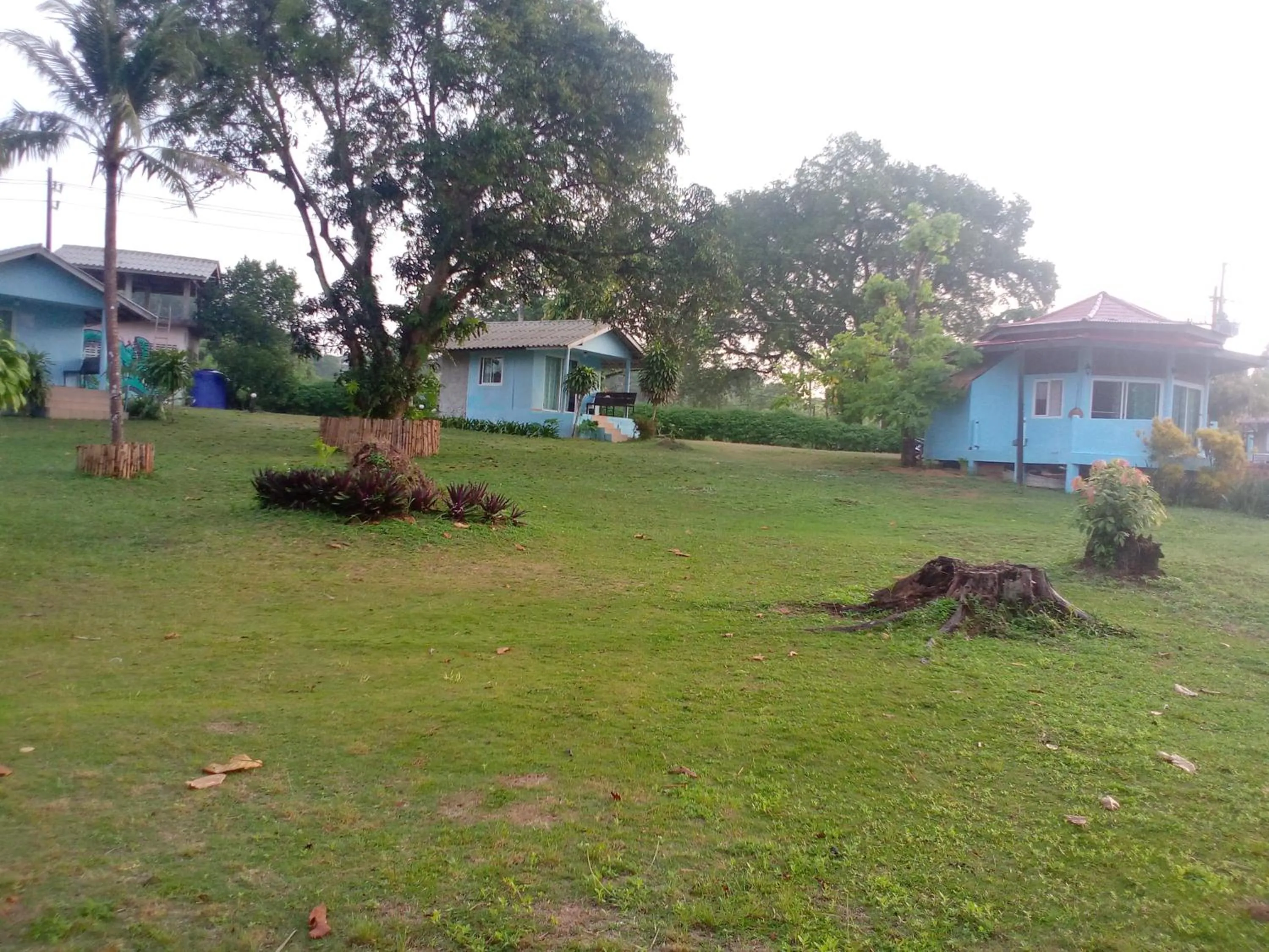 Garden view in Miss You Beach Resort Koh Mak