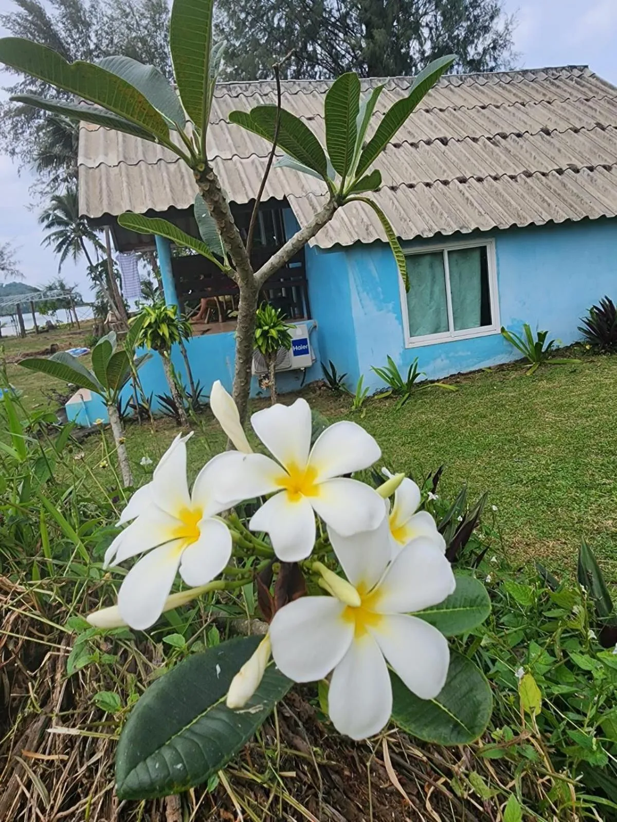 Miss You Beach Resort Koh Mak