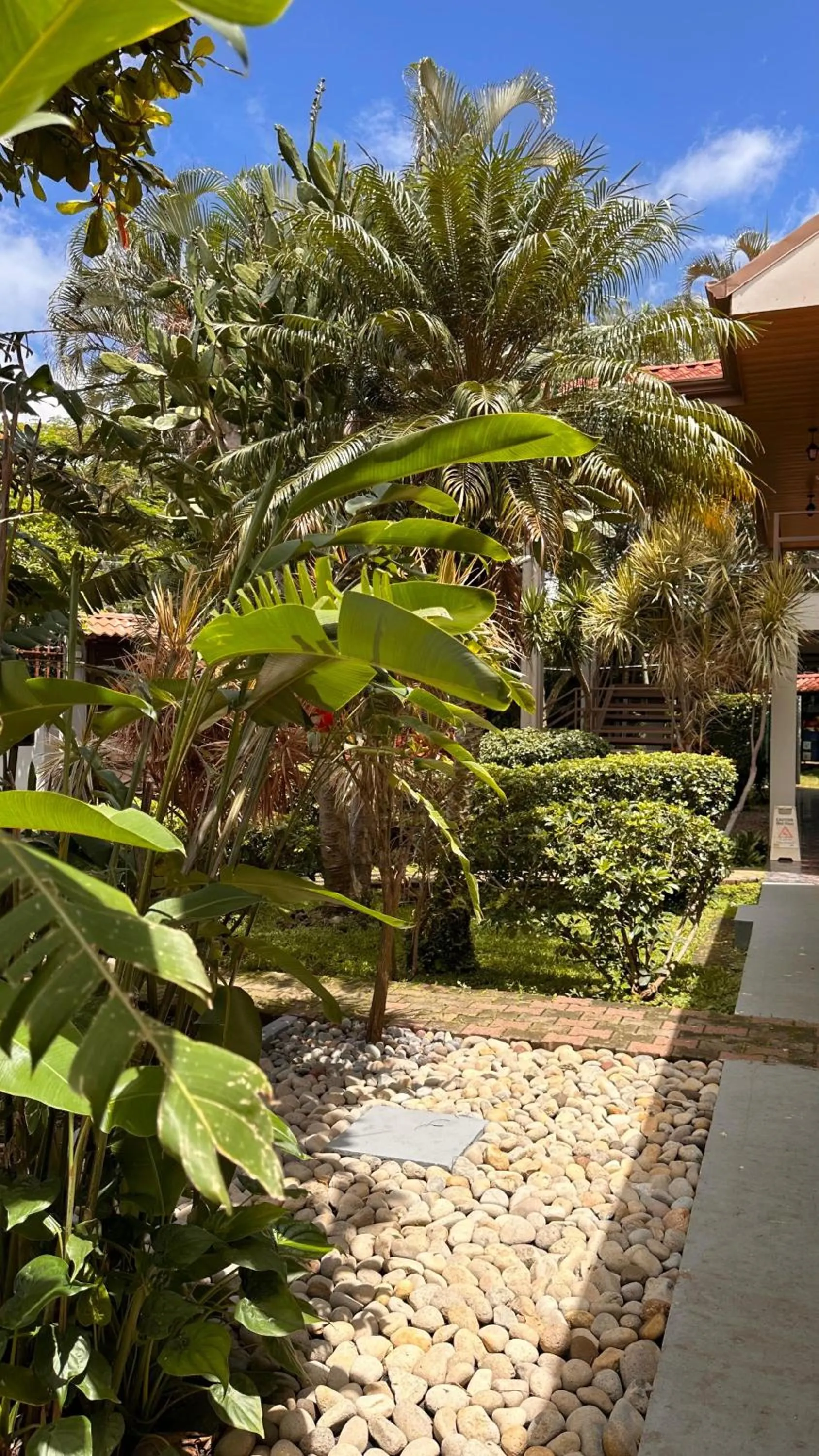 Garden view in Brillasol Airport Hotel