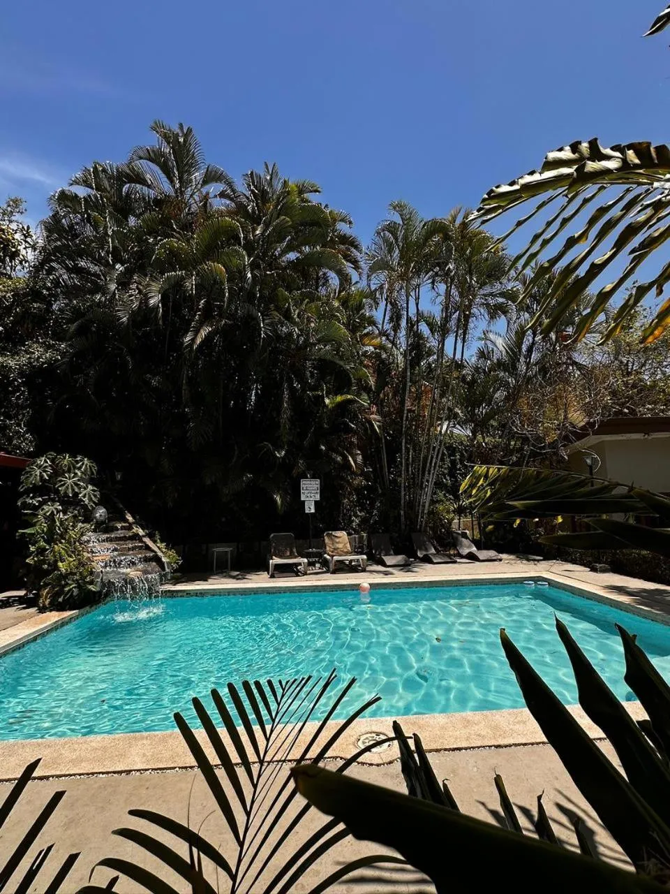 Swimming pool in Brillasol Airport Hotel