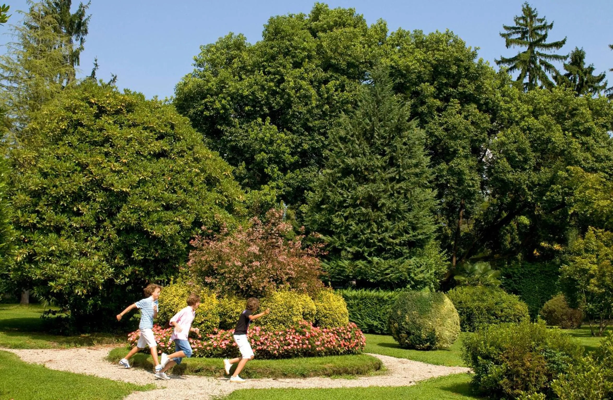 Garden in Hotel Simplon