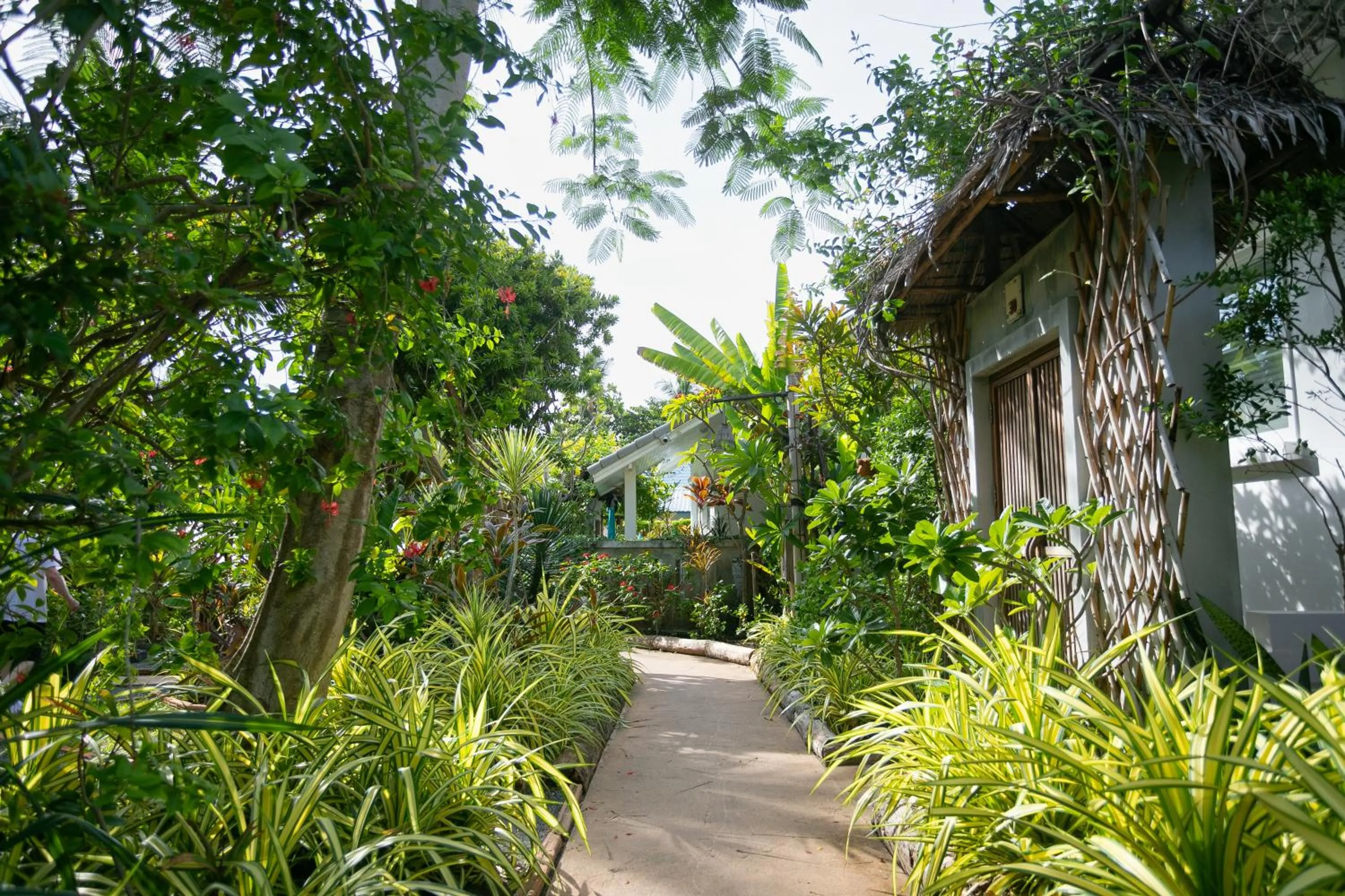 Garden in King's Garden Resort - SHA Plus