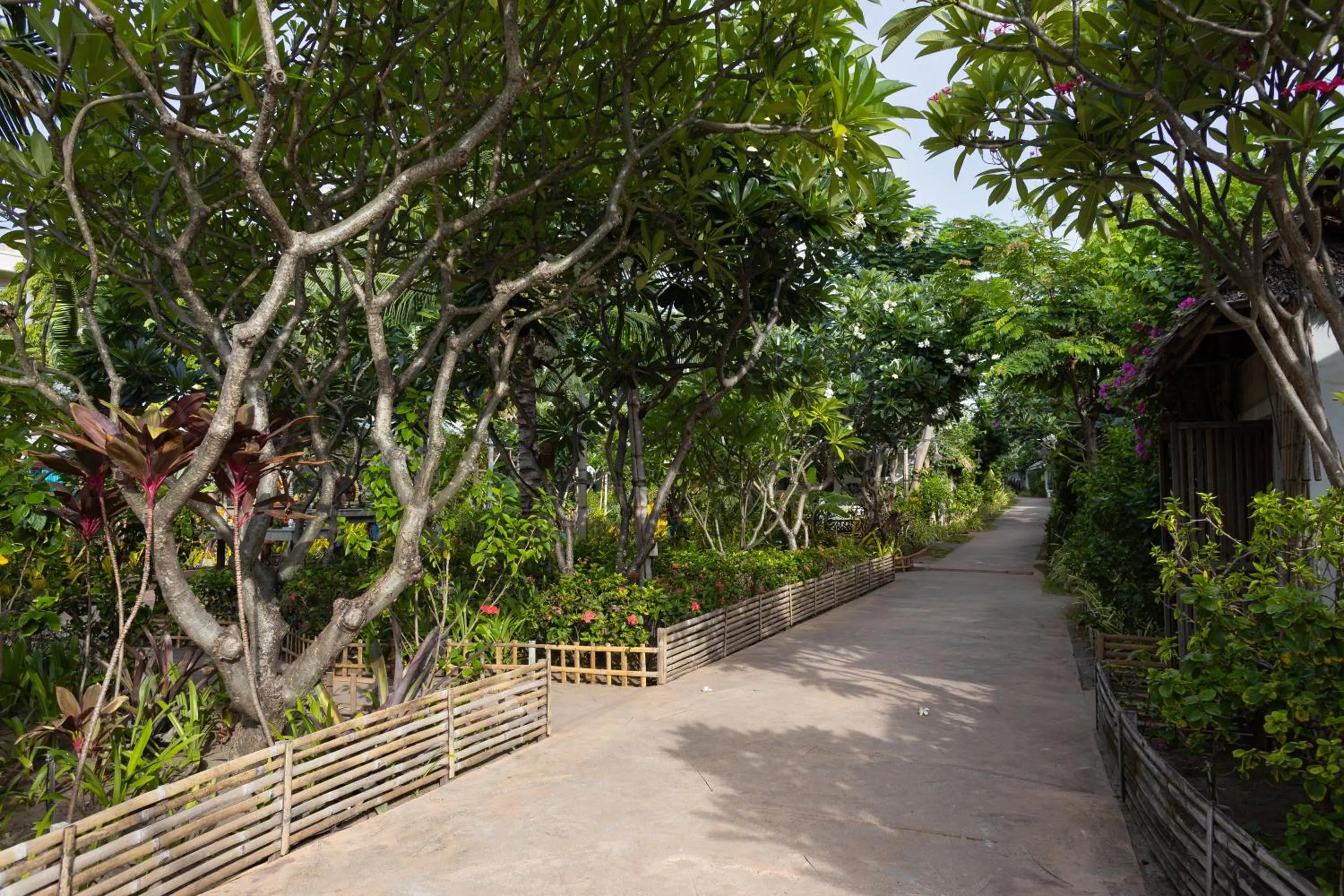 Garden in King's Garden Resort - SHA Plus
