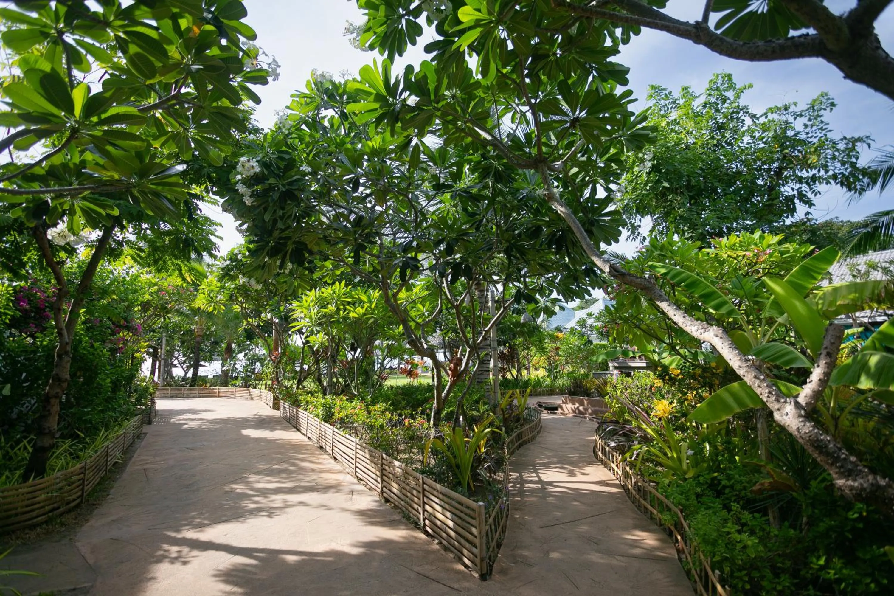 Garden in King's Garden Resort - SHA Plus