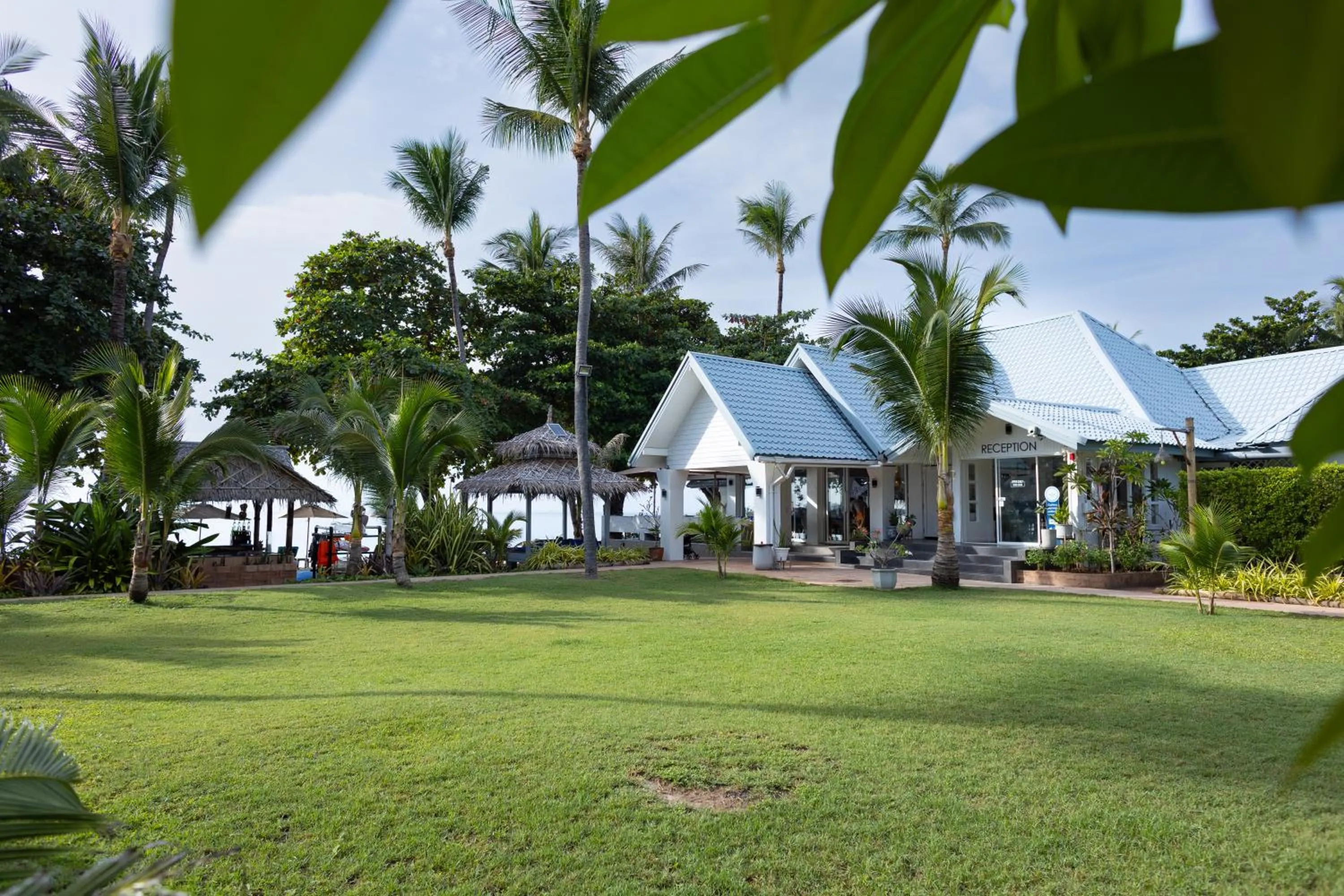 Garden in King's Garden Resort - SHA Plus