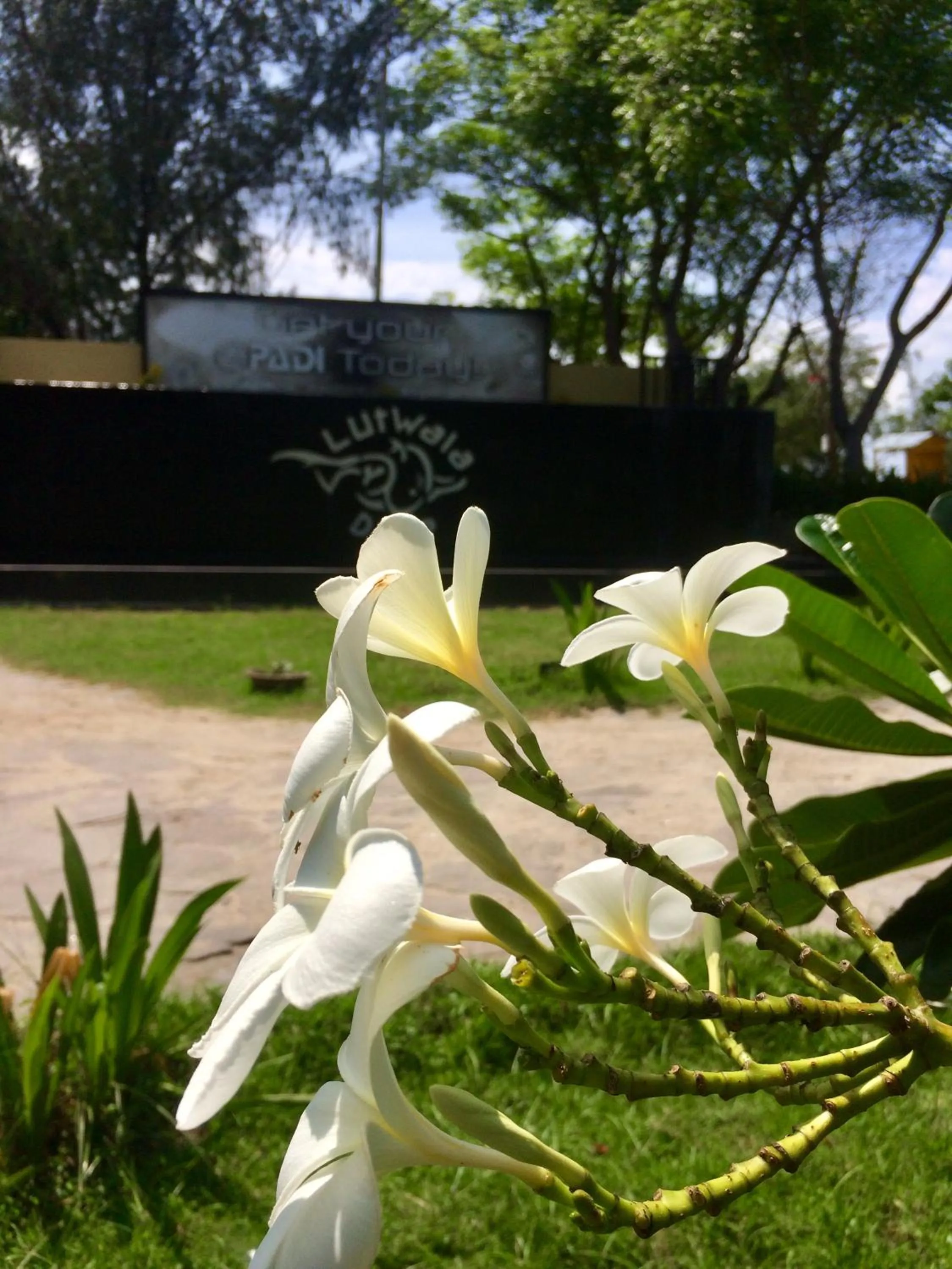 Property logo or sign in Lutwala Bungalows and Private Villa