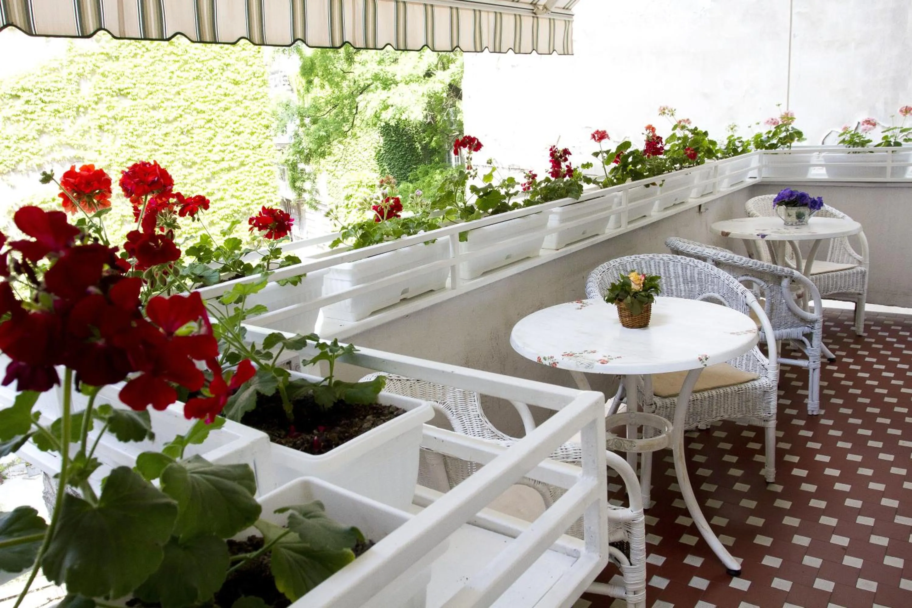 Balcony/Terrace in Hostel Beogradjanka