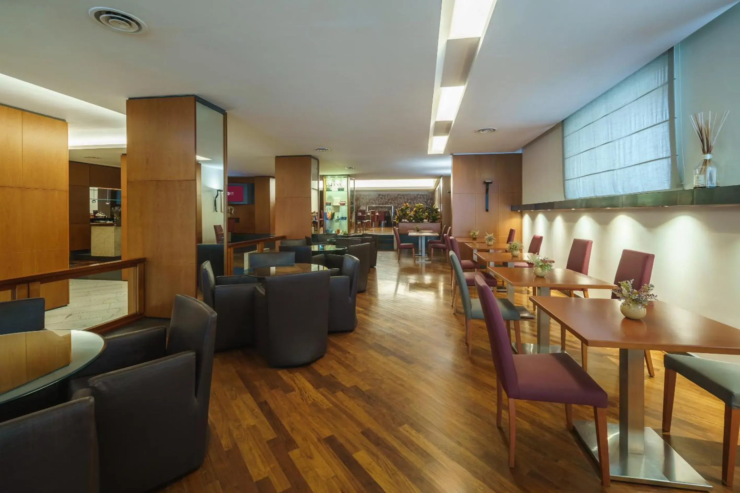 Lounge or bar in Exe Majestic Lounge or bar in Exe Majestic