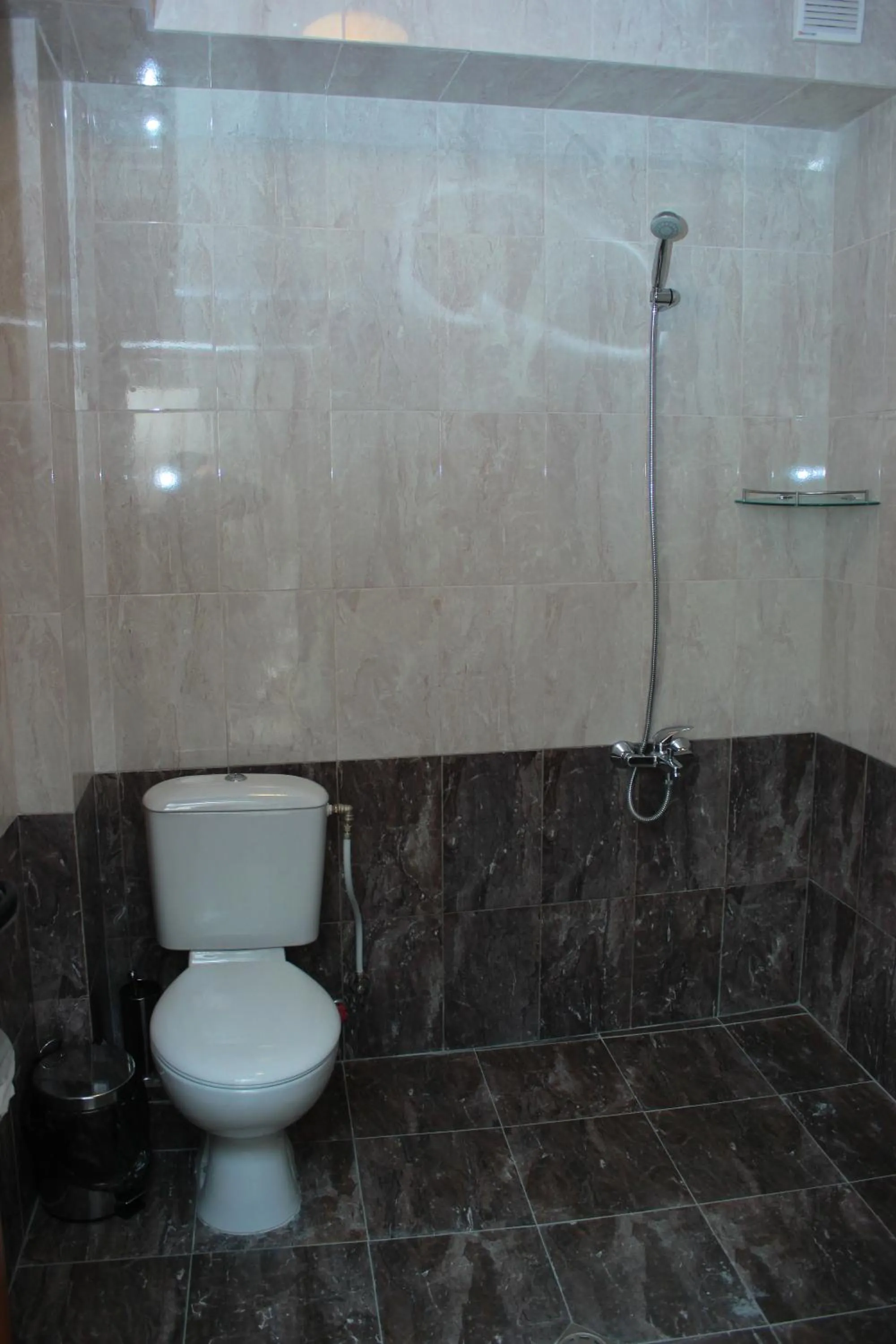 Shower in Family Hotel Alex