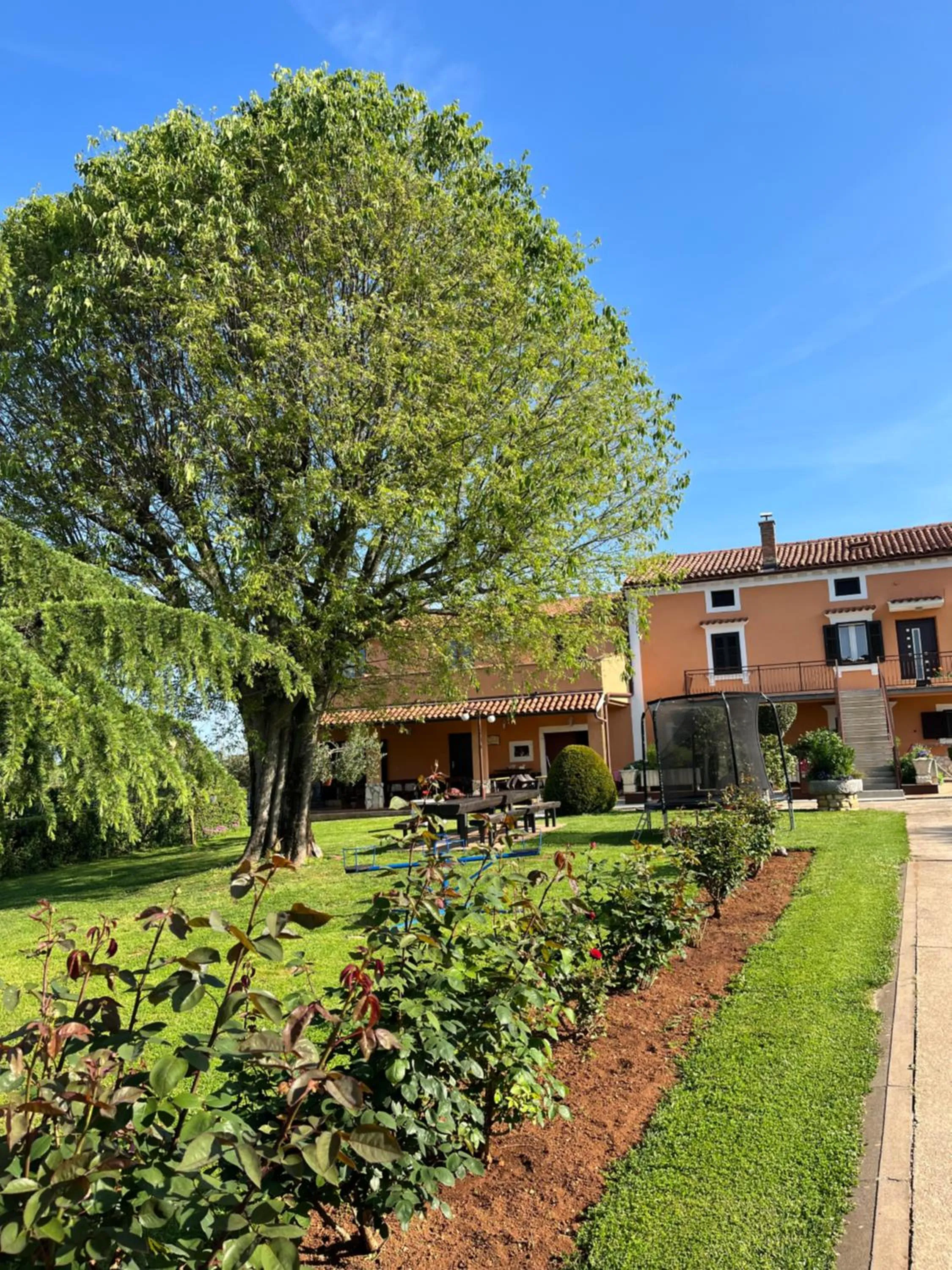 Property building in Rooms Danica