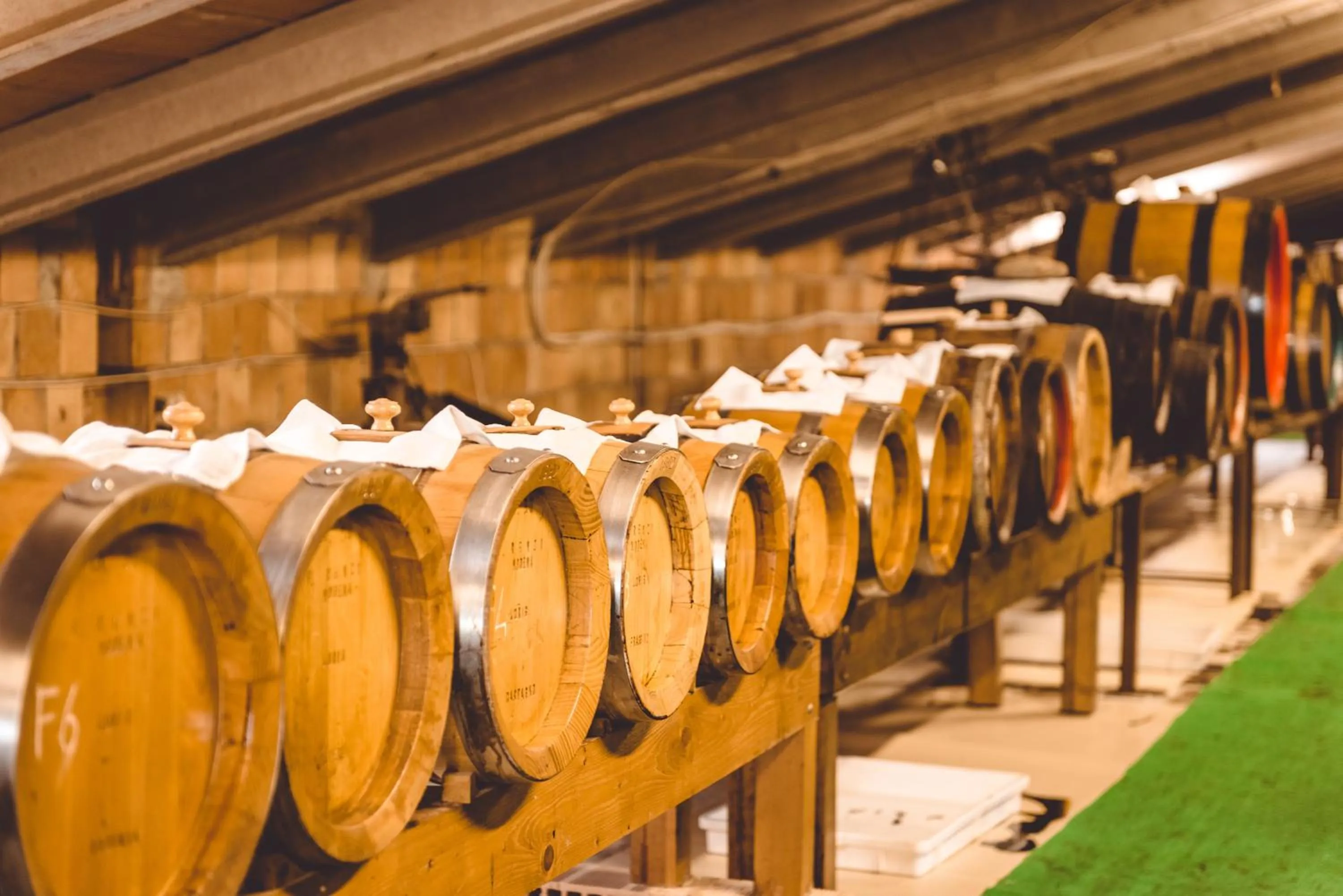 Activities in Hotel San Pellegrino