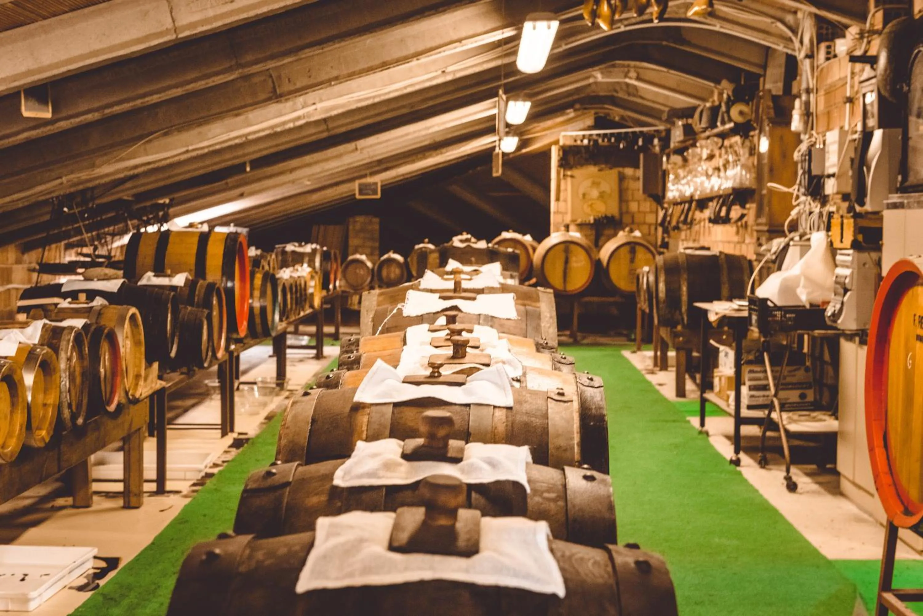 Activities in Hotel San Pellegrino