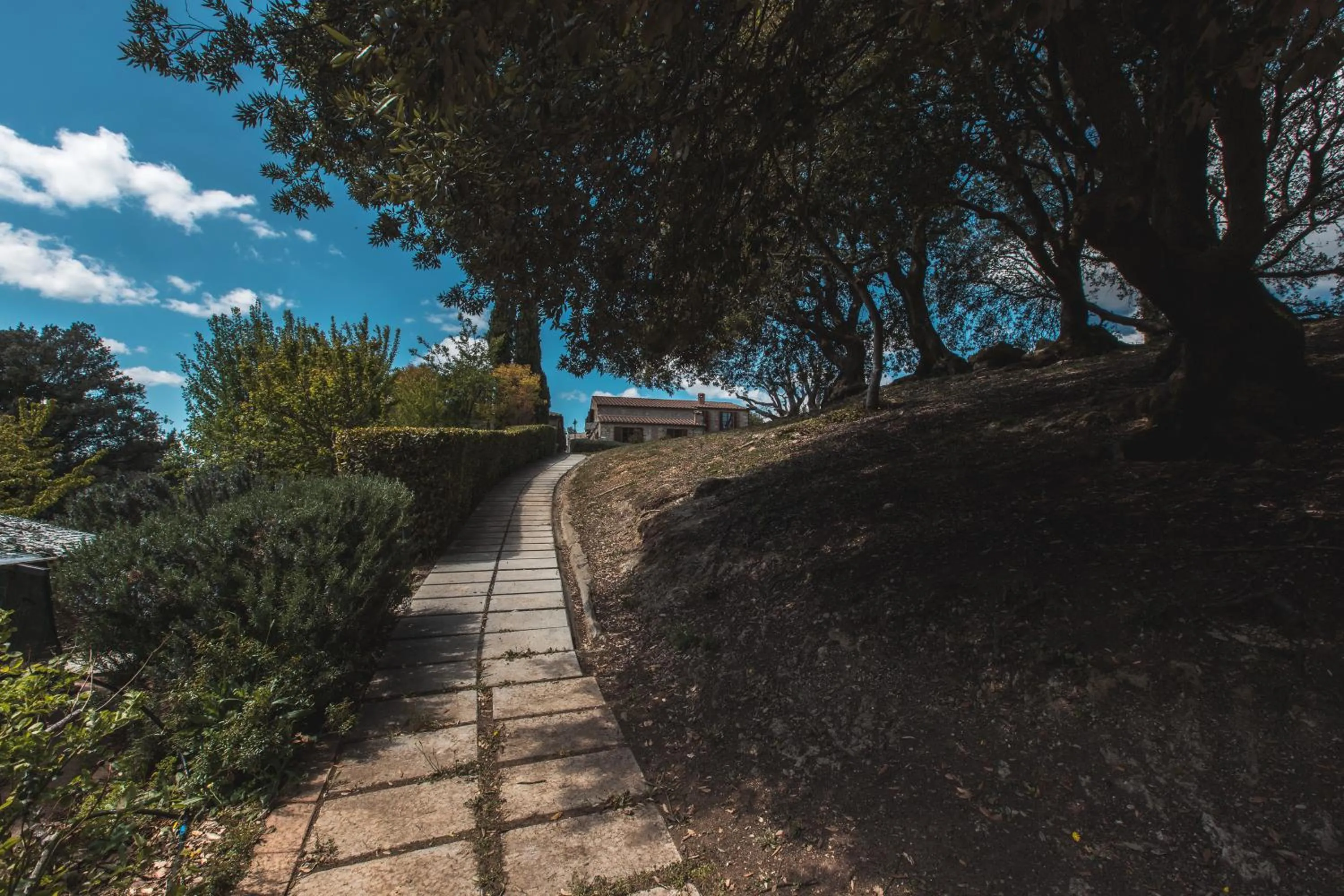 Garden in La Melosa Resort & Spa - Adults Only