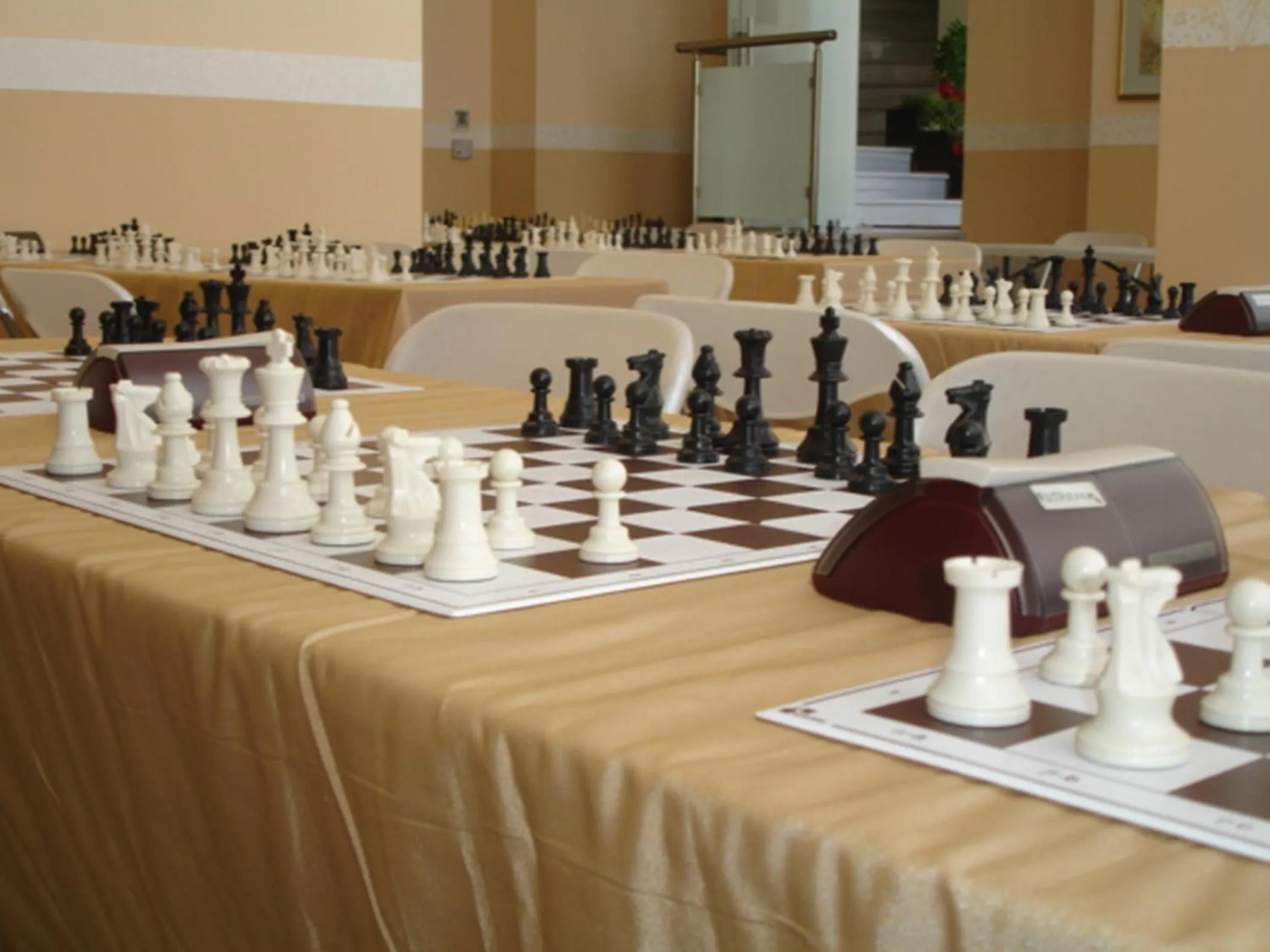 Library in Palatino Rooms & Apartments