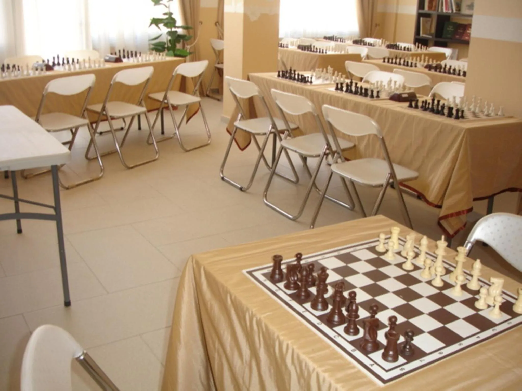 Library in Palatino Rooms & Apartments