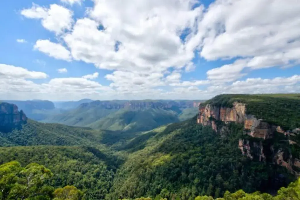 Narrow Neck Lodge Narrow Neck Lodge