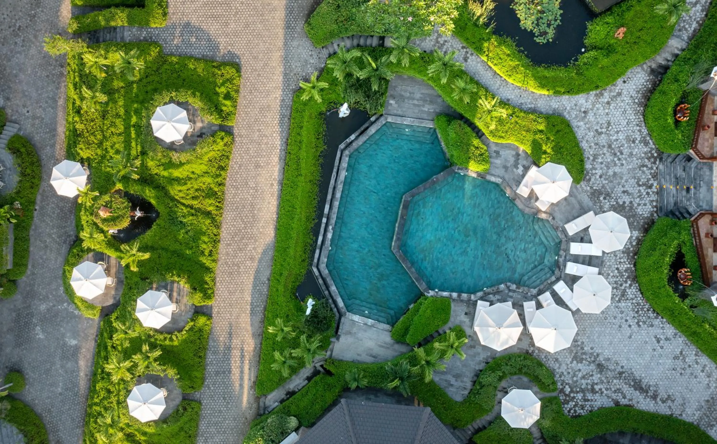 Bird's eye view in Swan Paradise A Pramana Experience