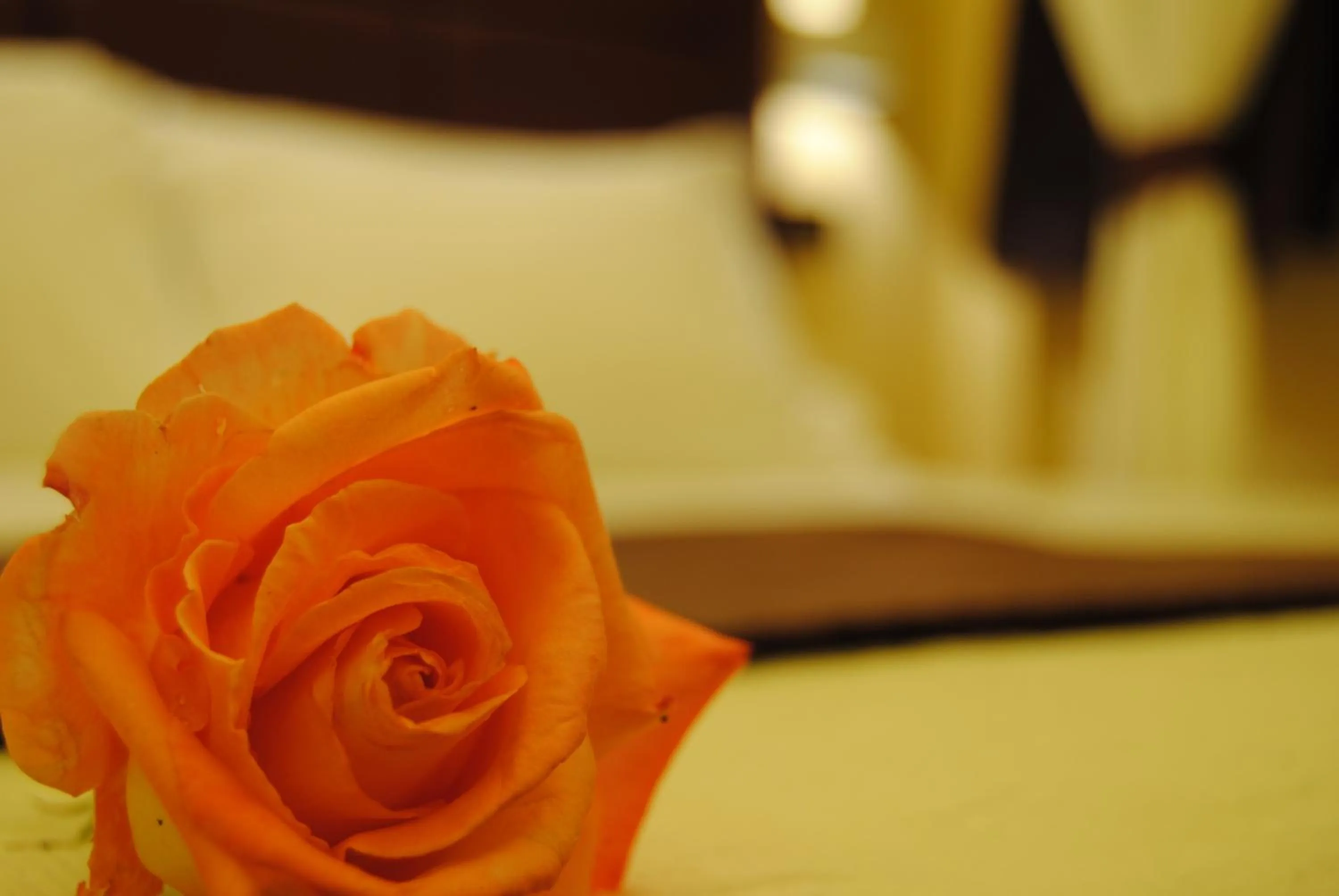 Decorative detail in EuroHome