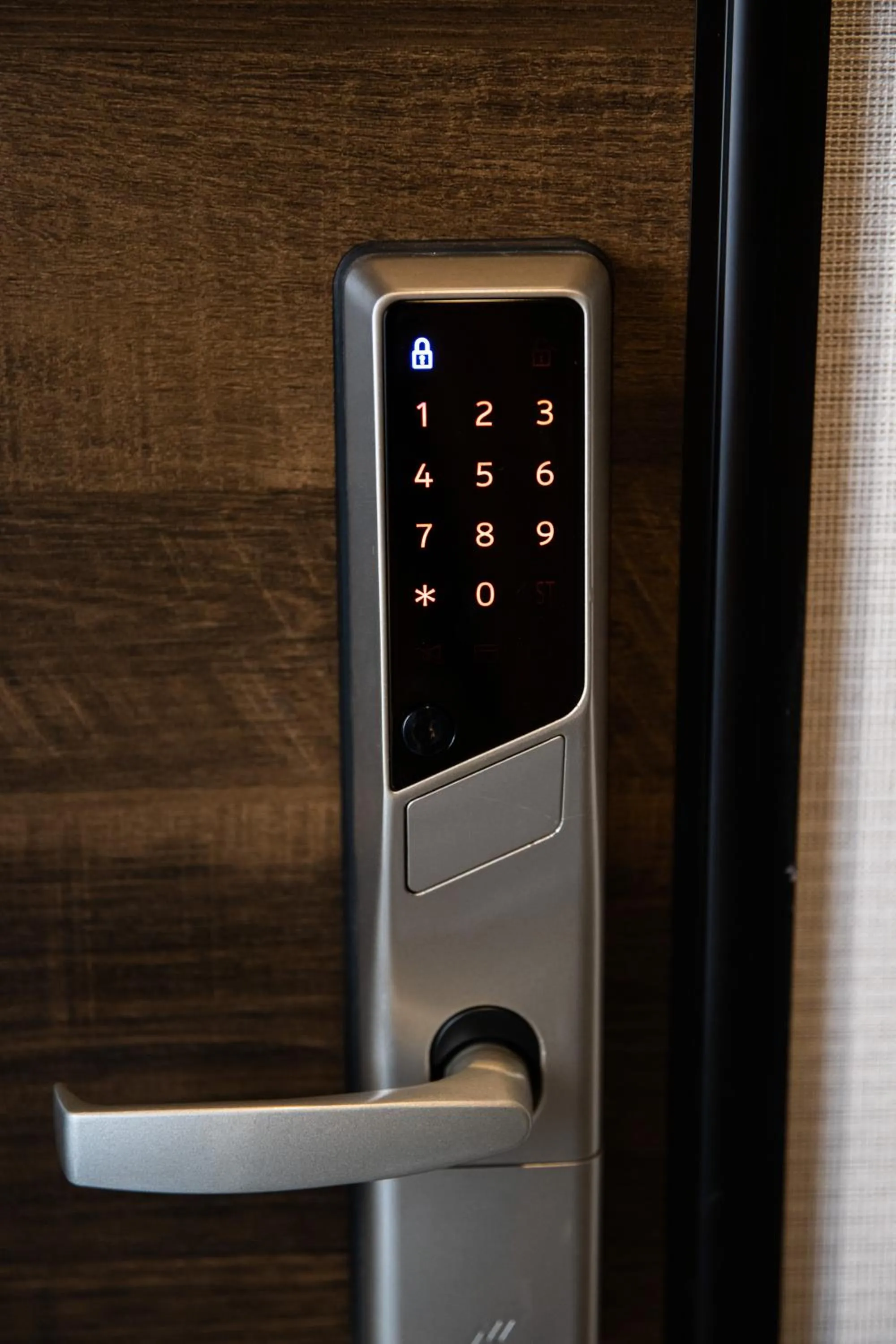 Photo of the whole room in Volcano