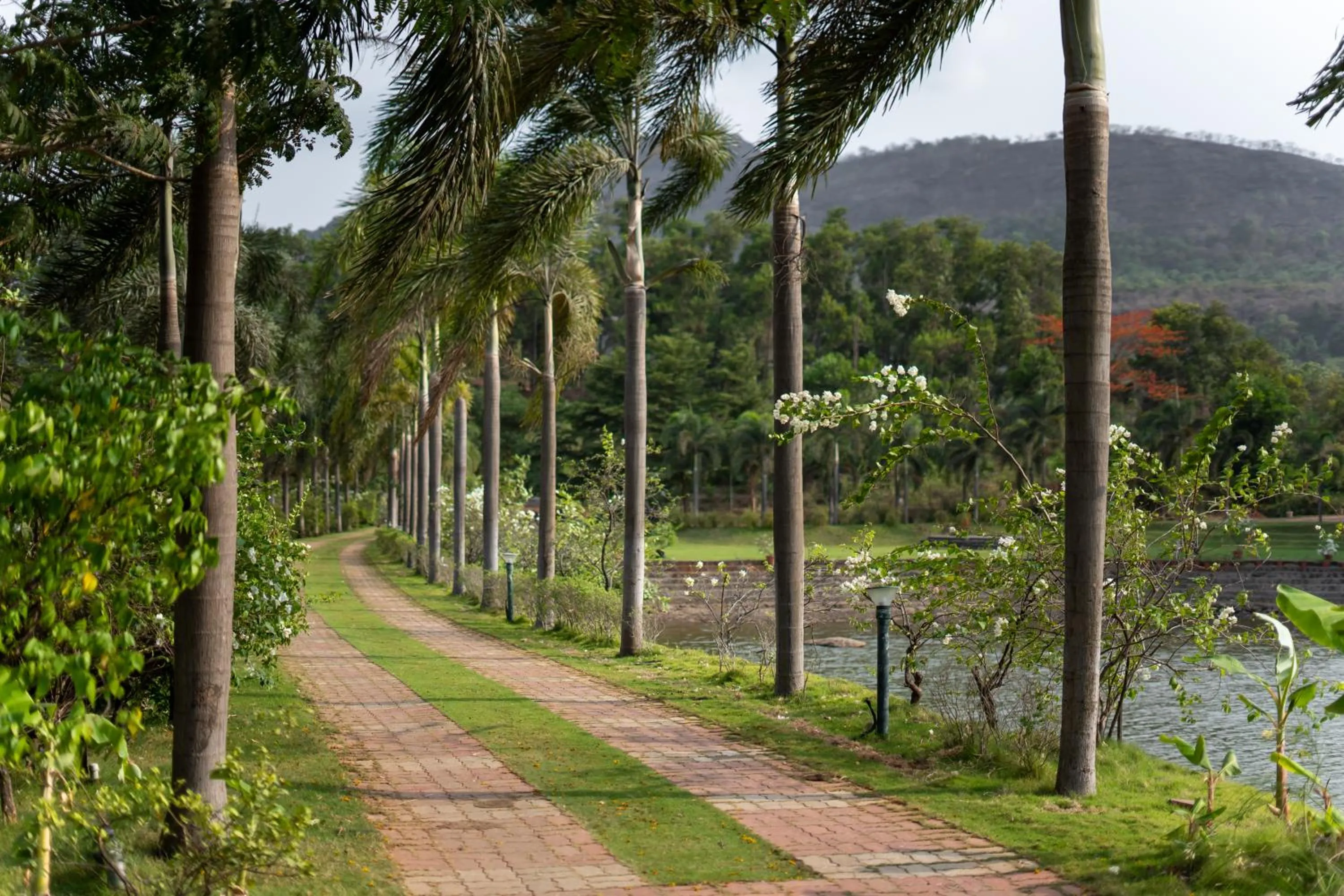 View (from property/room) in Oleander Farms, Karjat