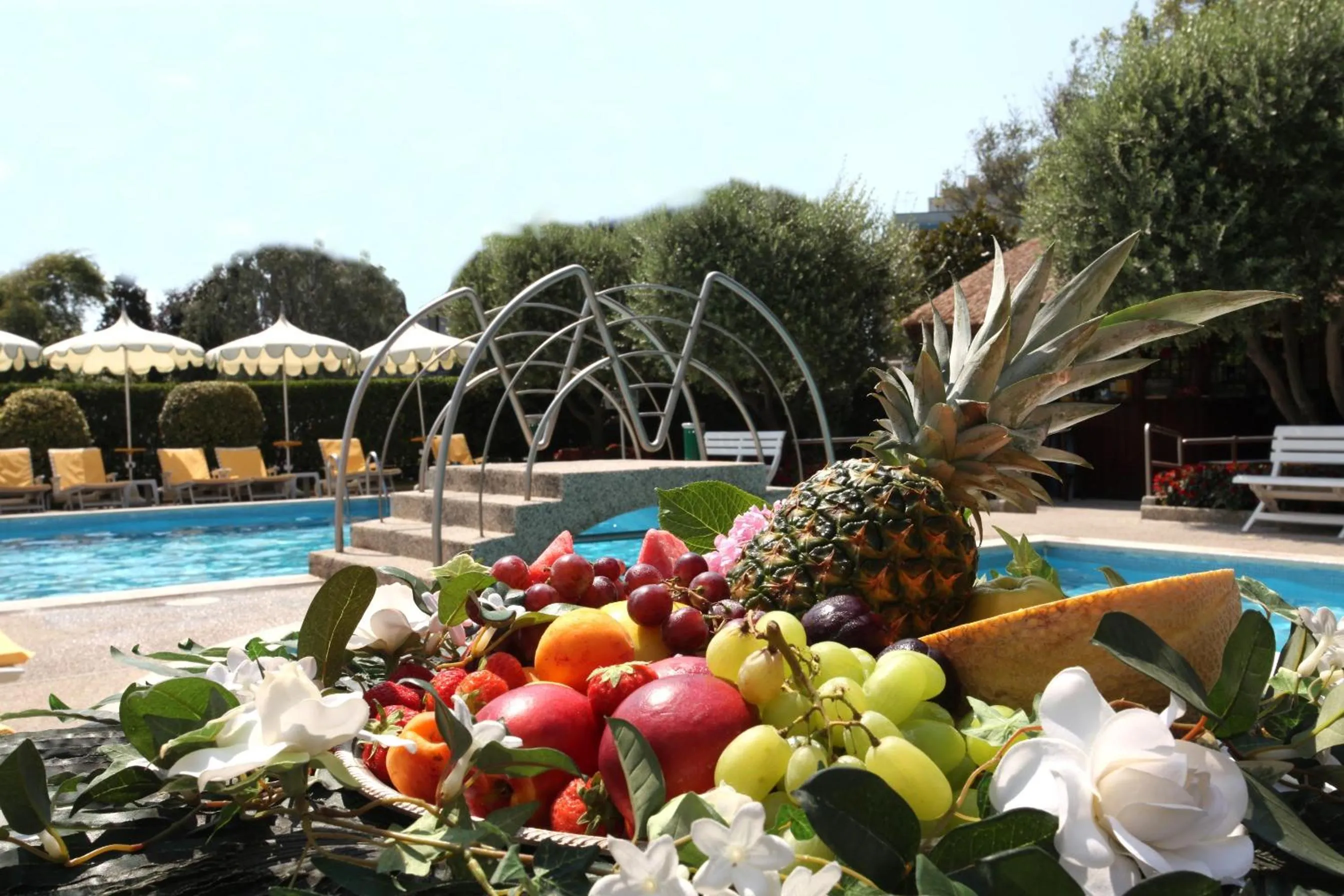 Garden in Hotel Bristol