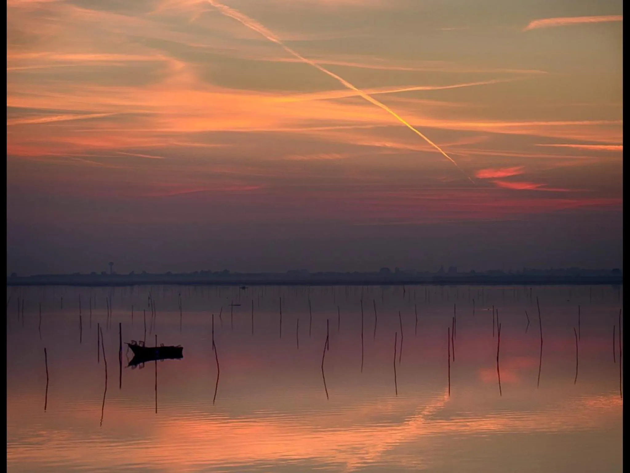 Natural landscape in Hotel Bristol