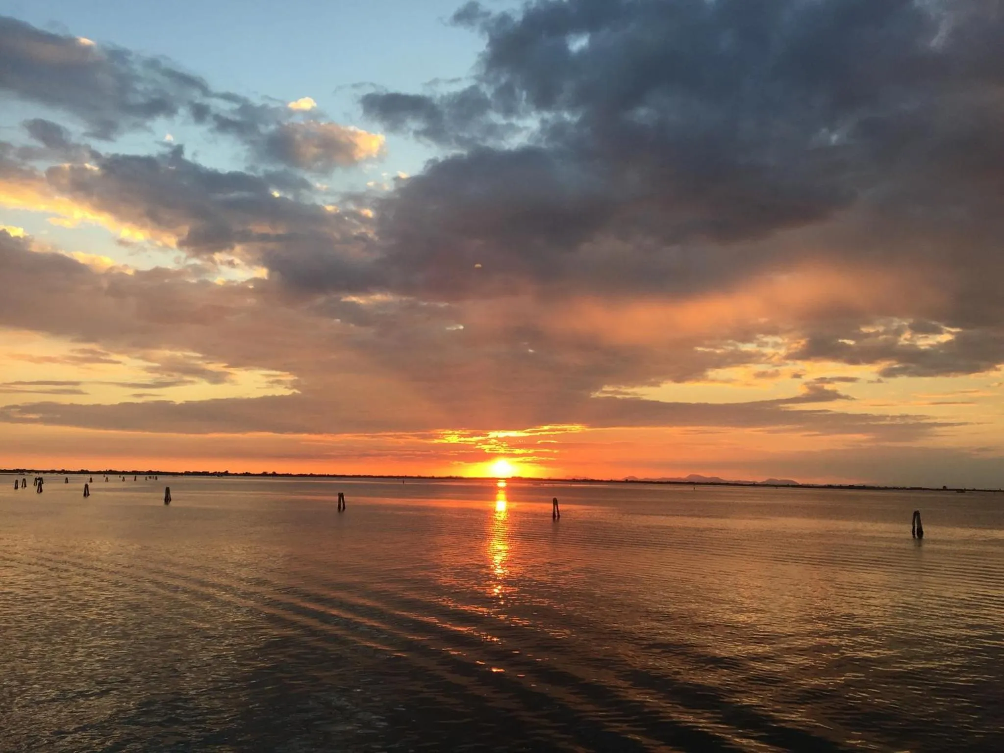 Natural landscape in Hotel Bristol