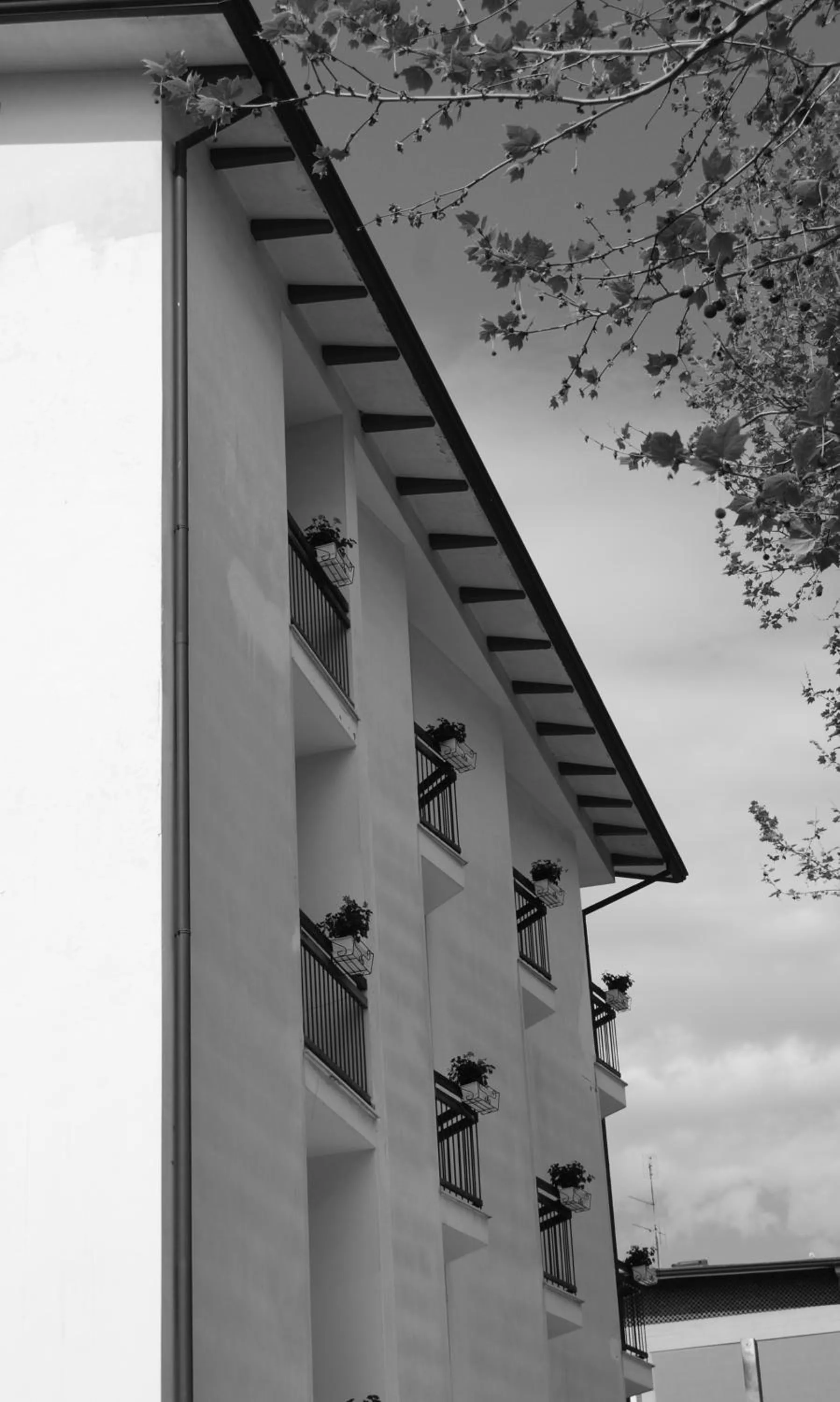 Property building in Hotel Solemare