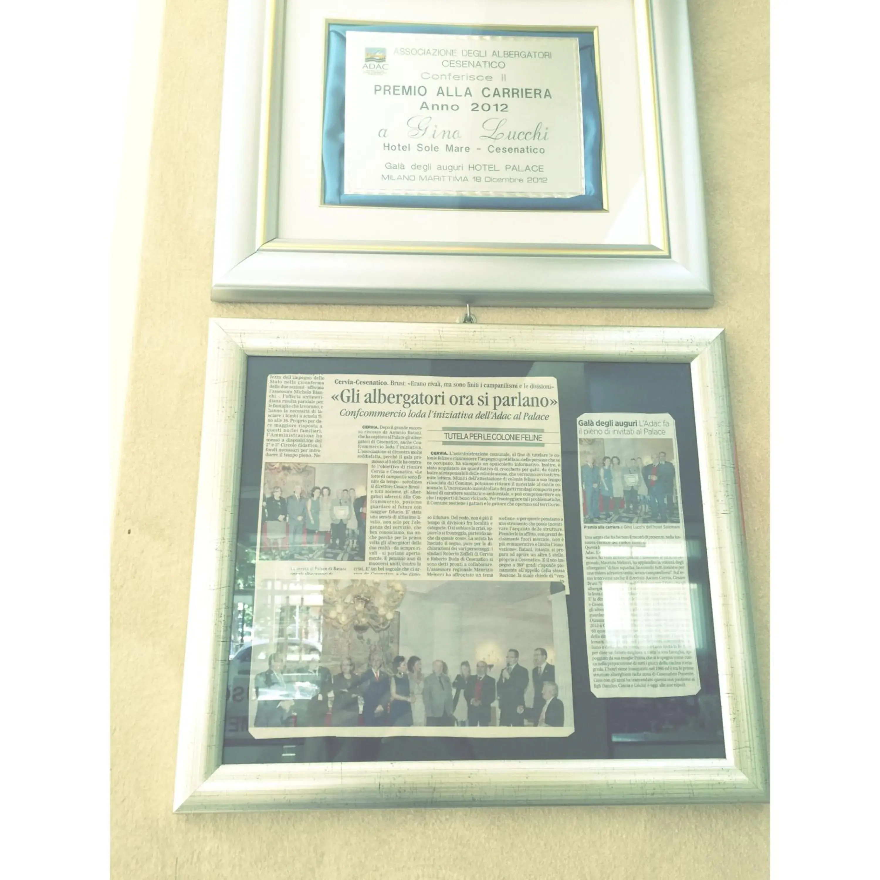 Certificate/Award in Hotel Solemare
