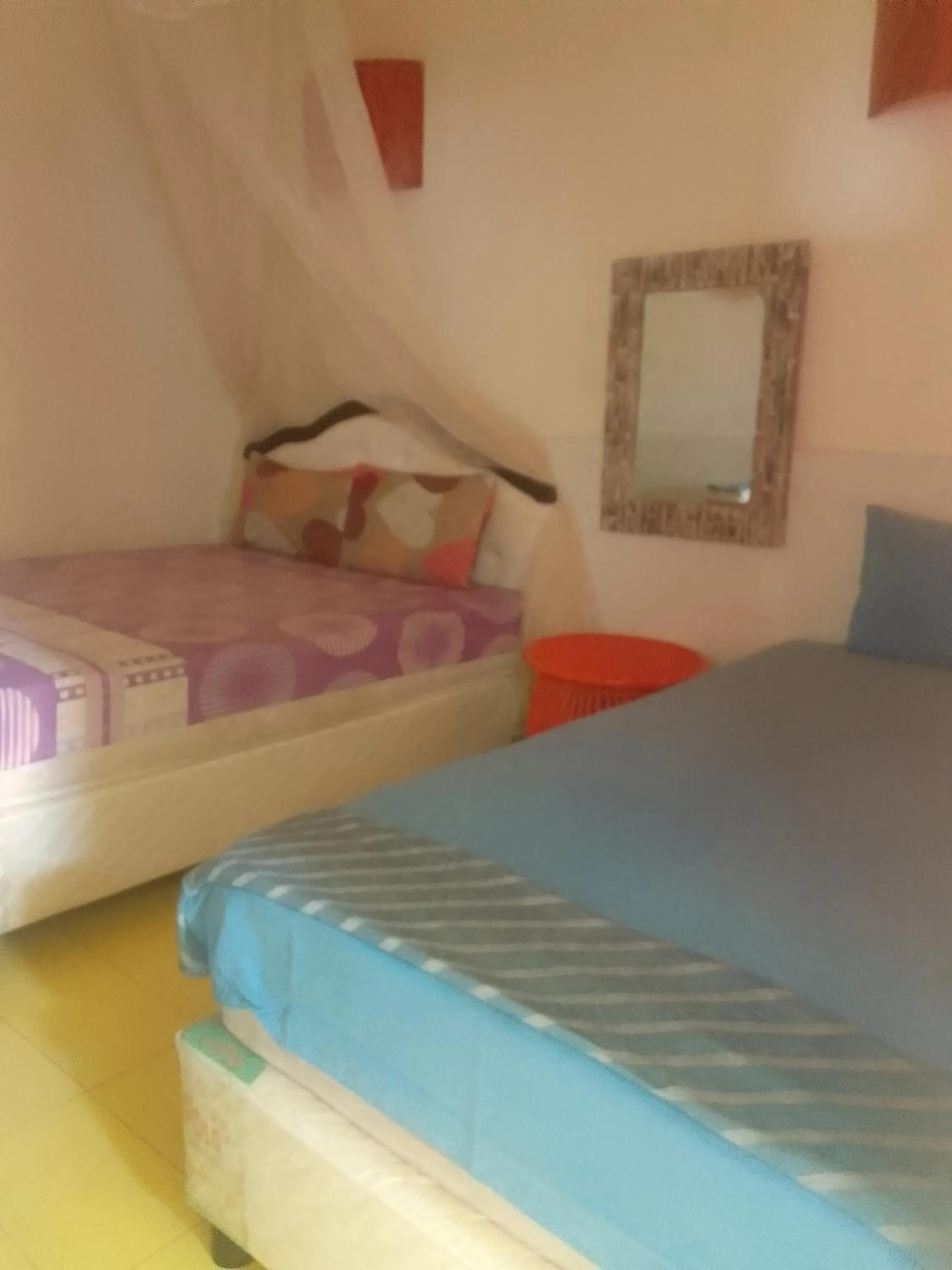 Budget Double or Twin Room - single occupancy in Alola inn