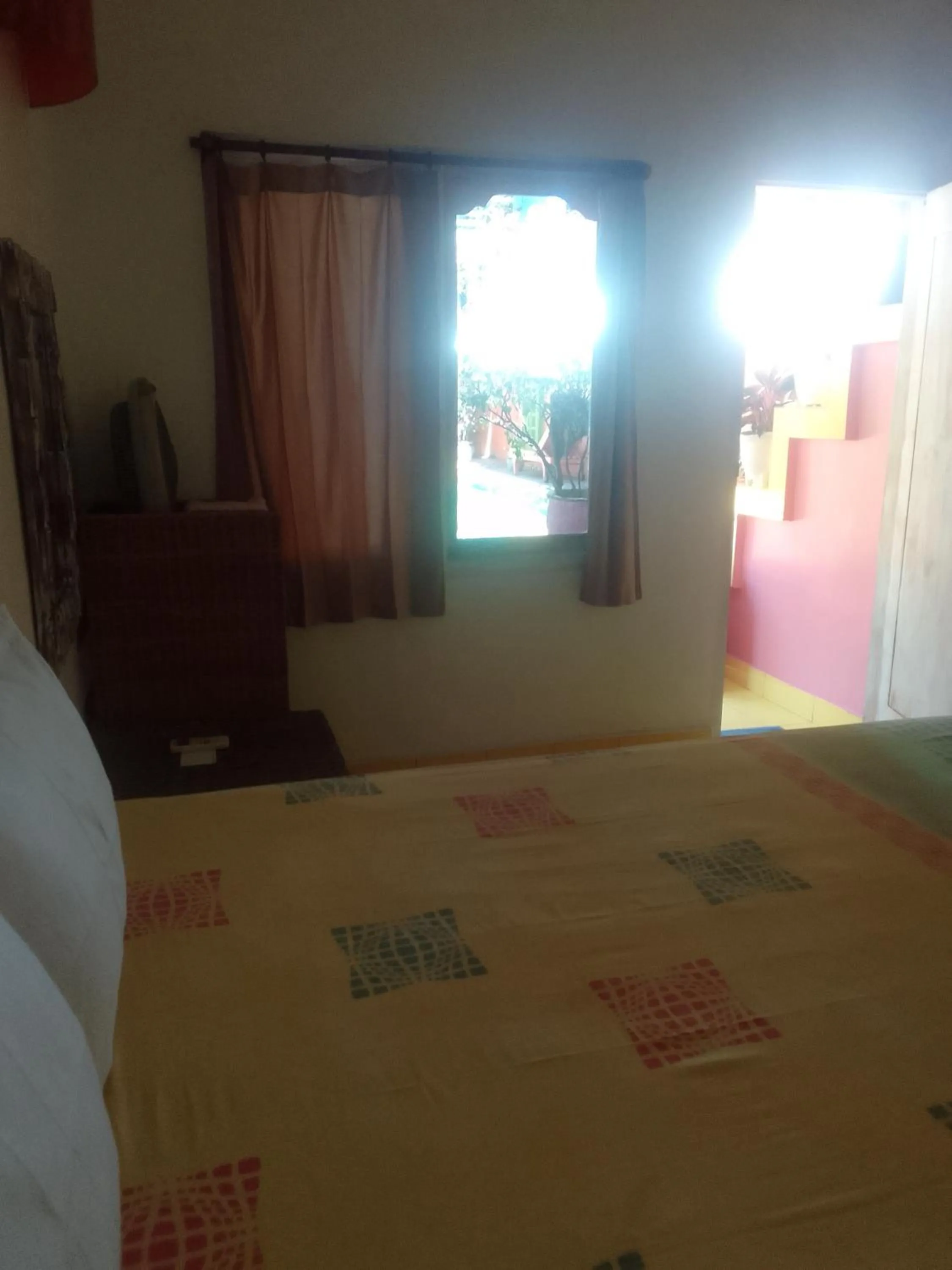 Budget Double Room in Alola inn
