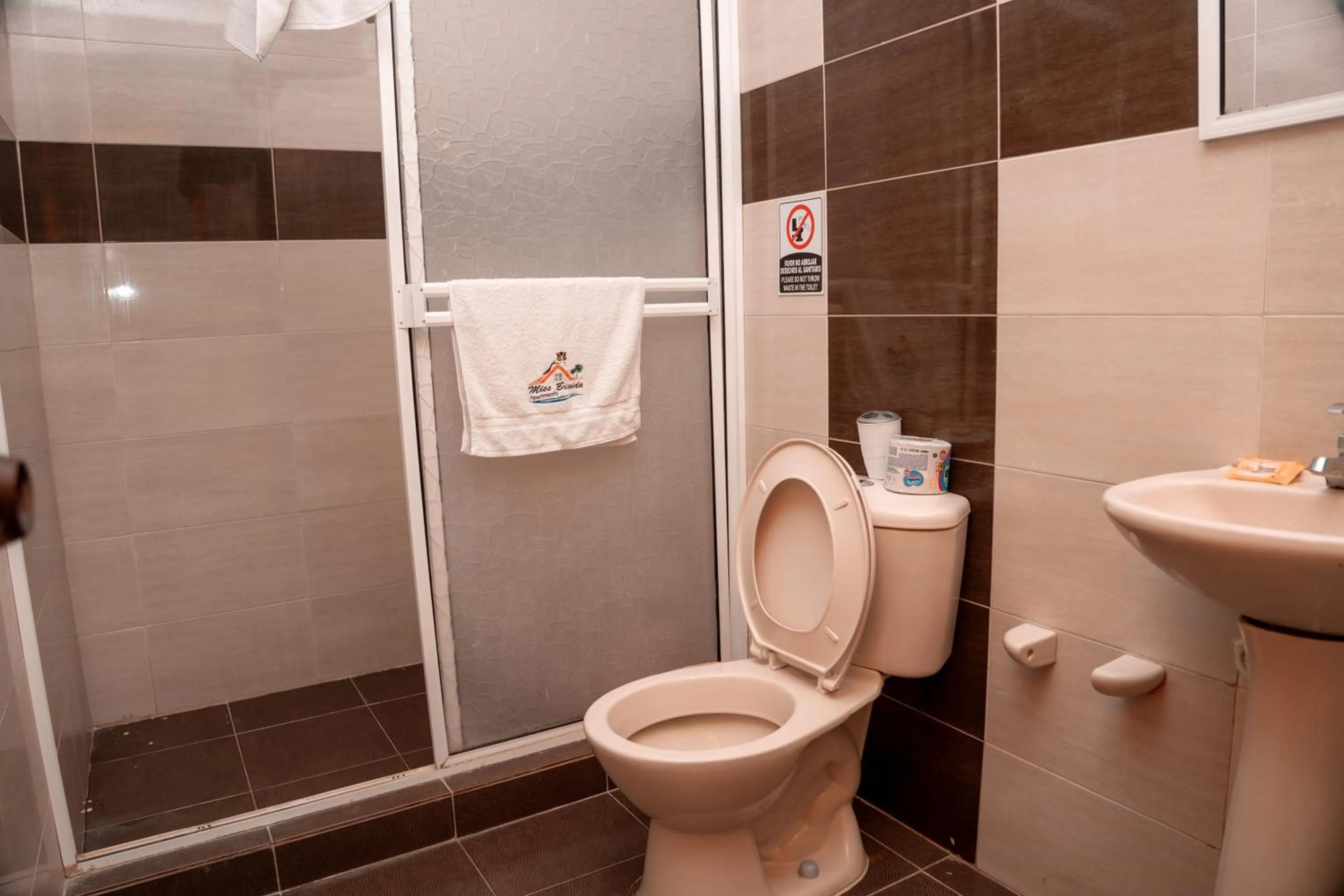 Shower in Apartamento Miss Brigida