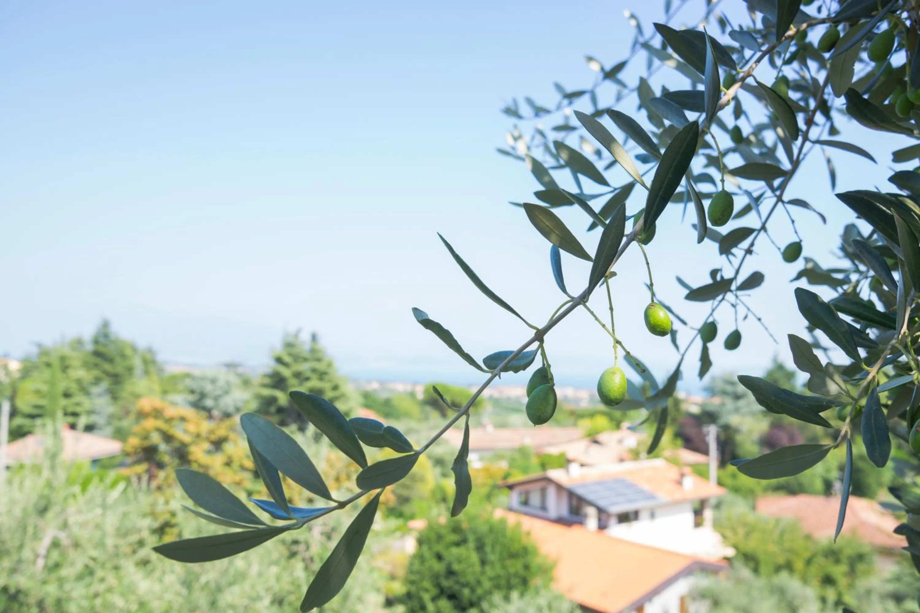 Day in San Rocco Relais