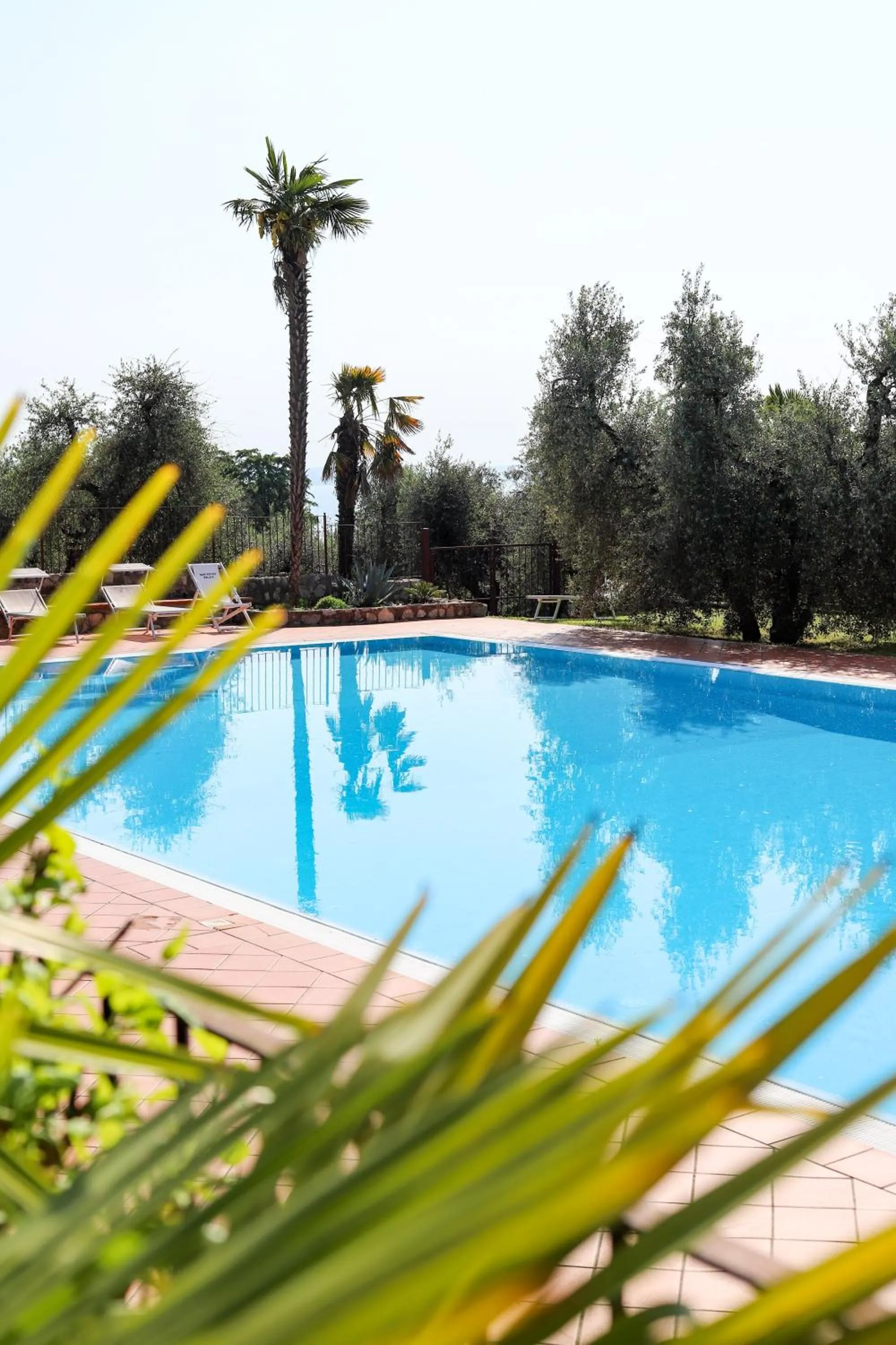 Swimming pool in San Rocco Relais