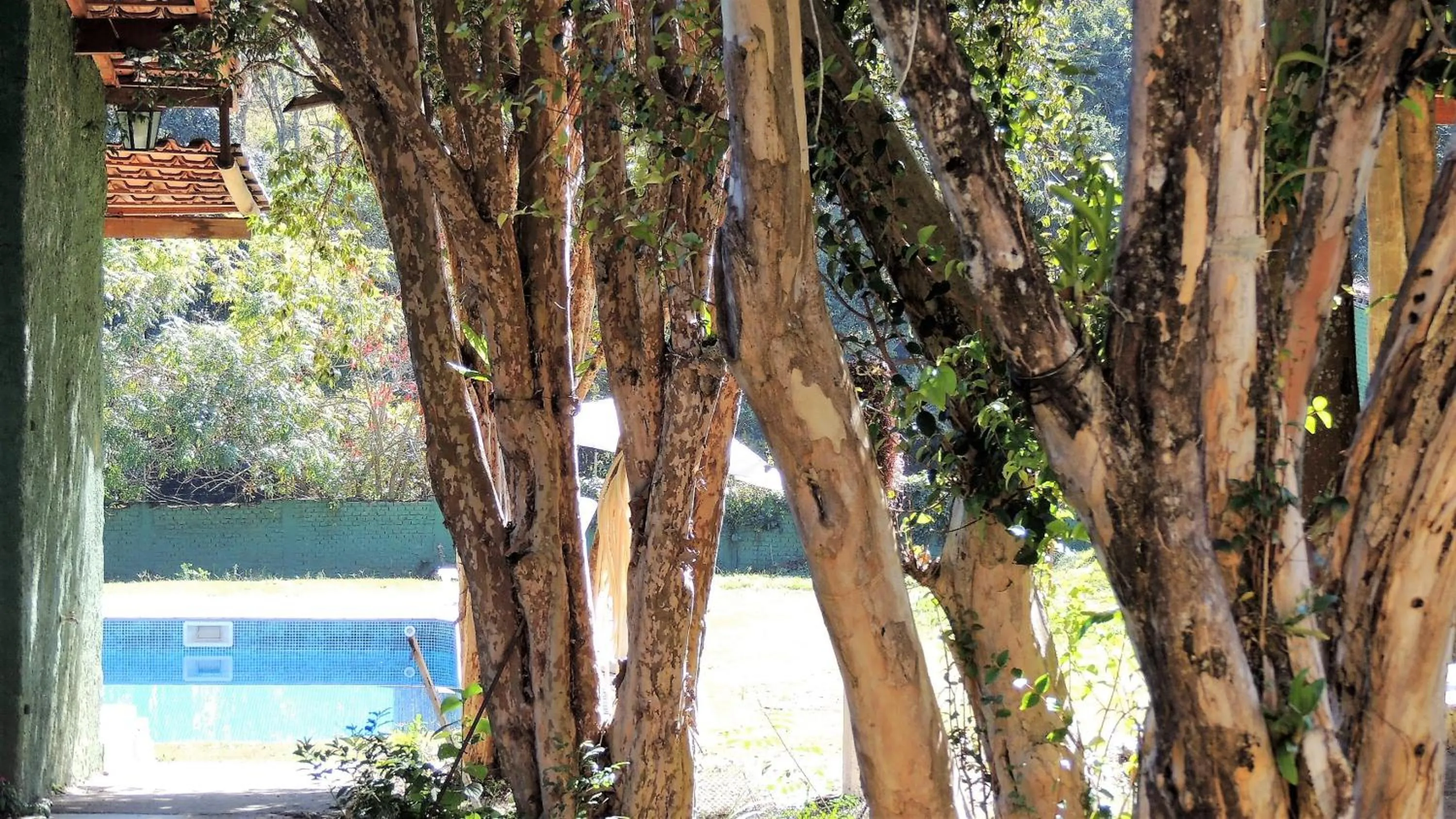 Swimming pool in Guappo Socorro