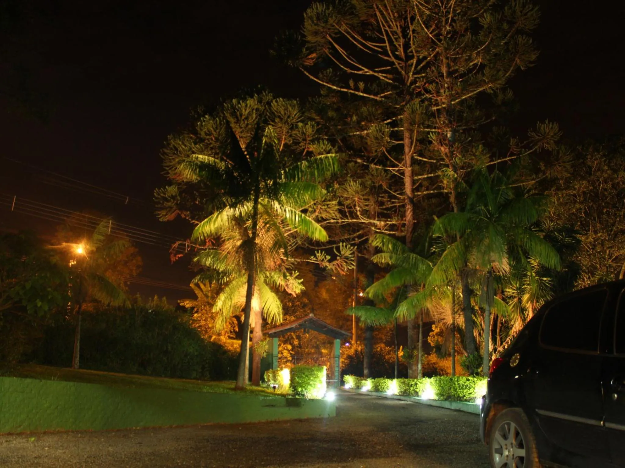 Garden in Guappo Socorro