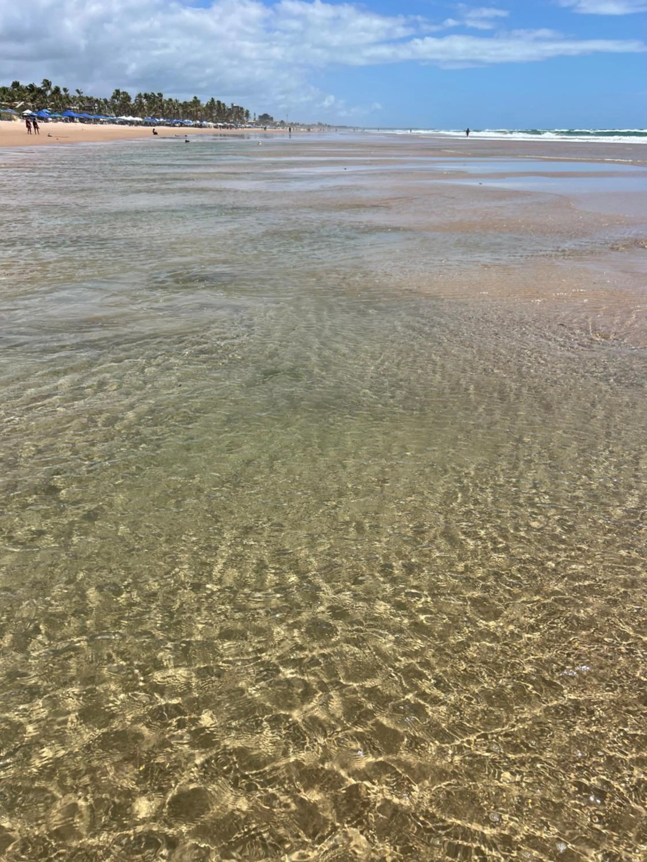 Natural landscape in Villaggio Orizzonte